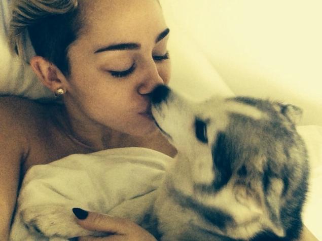 Miley Cyrus cu cateii