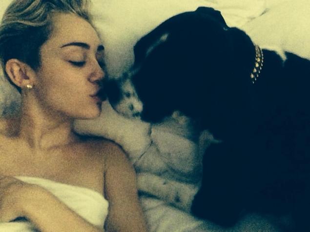 Miley Cyrus cu cateii