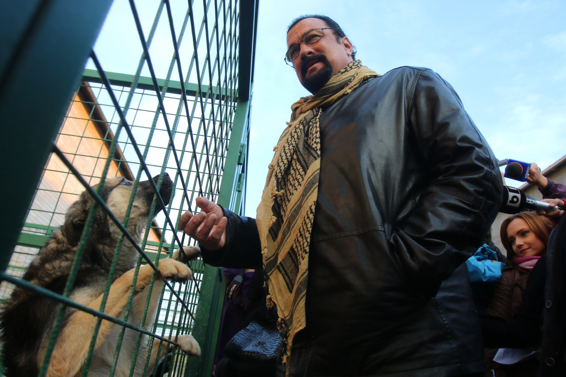 In toamna anului trecut, Steven Seagal a vizitat un adapost de caini comunitari din Romania