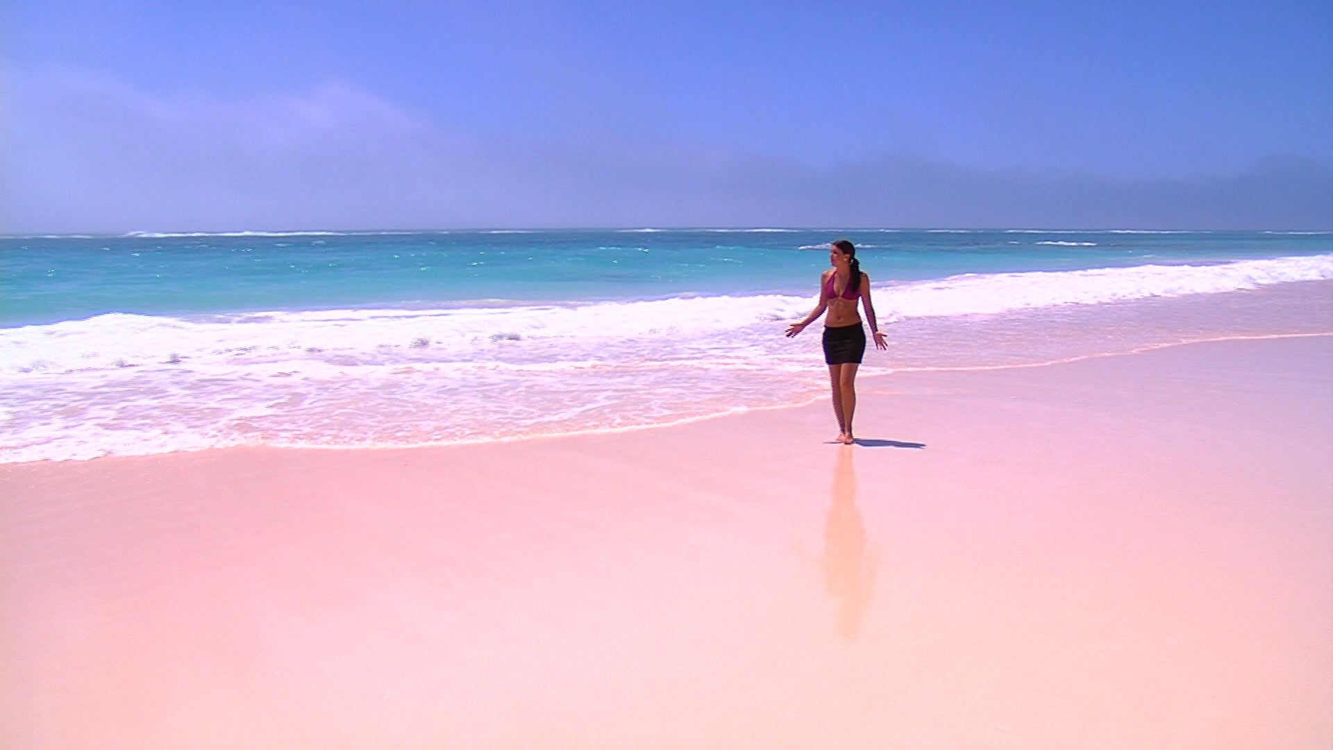 Culoarea roz a nisipului din Bahamas este data de erodarea cochiliilor de foraminifere, niste organisme monocelulare specifice faunei locale