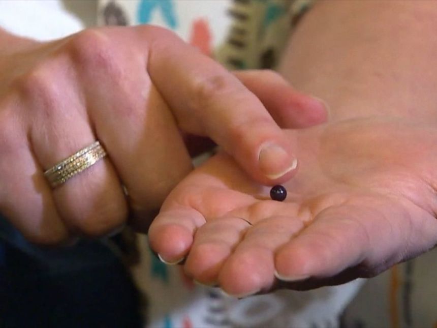 Lindsay Hasz a găsit o perlă în mâncare