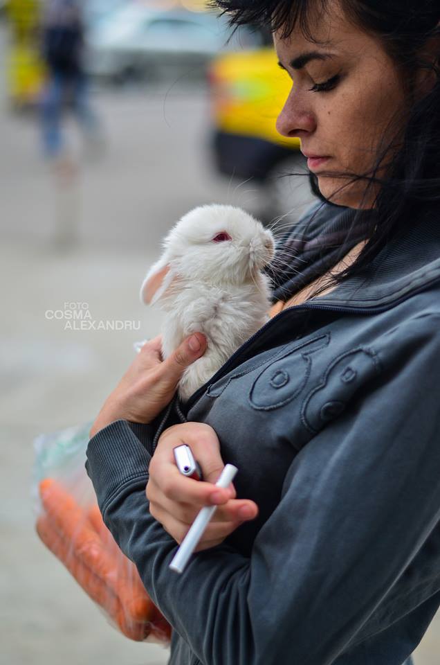 Oameni ai Bucurestiului