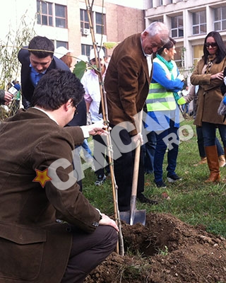 VIDEO Capitala s-a inverzit! 1.500 de arbori au fost plantati la Politehnica!