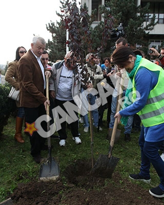 VIDEO Capitala s-a inverzit! 1.500 de arbori au fost plantati la Politehnica!