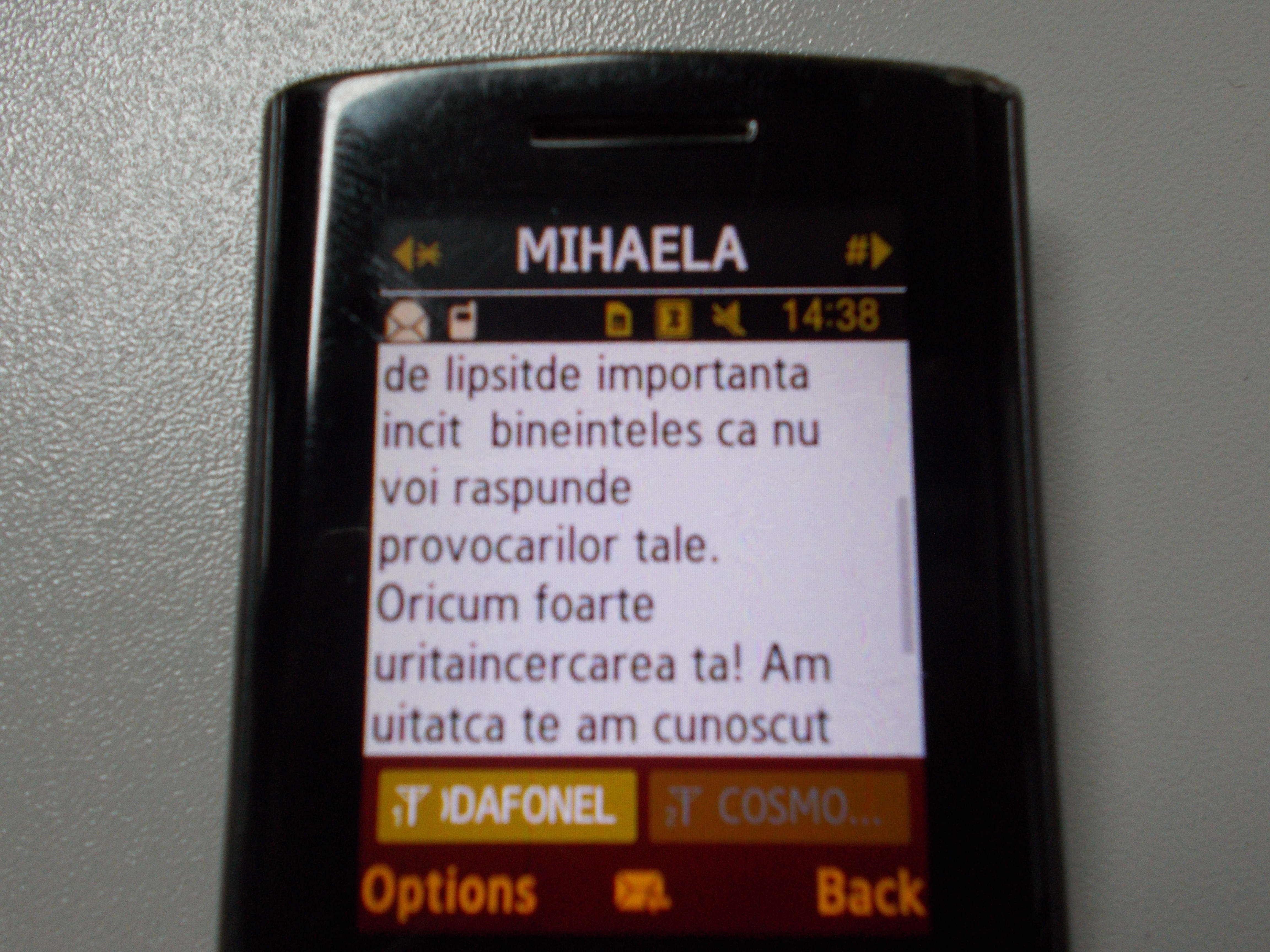 Mesaj Mihaela Constantinescu