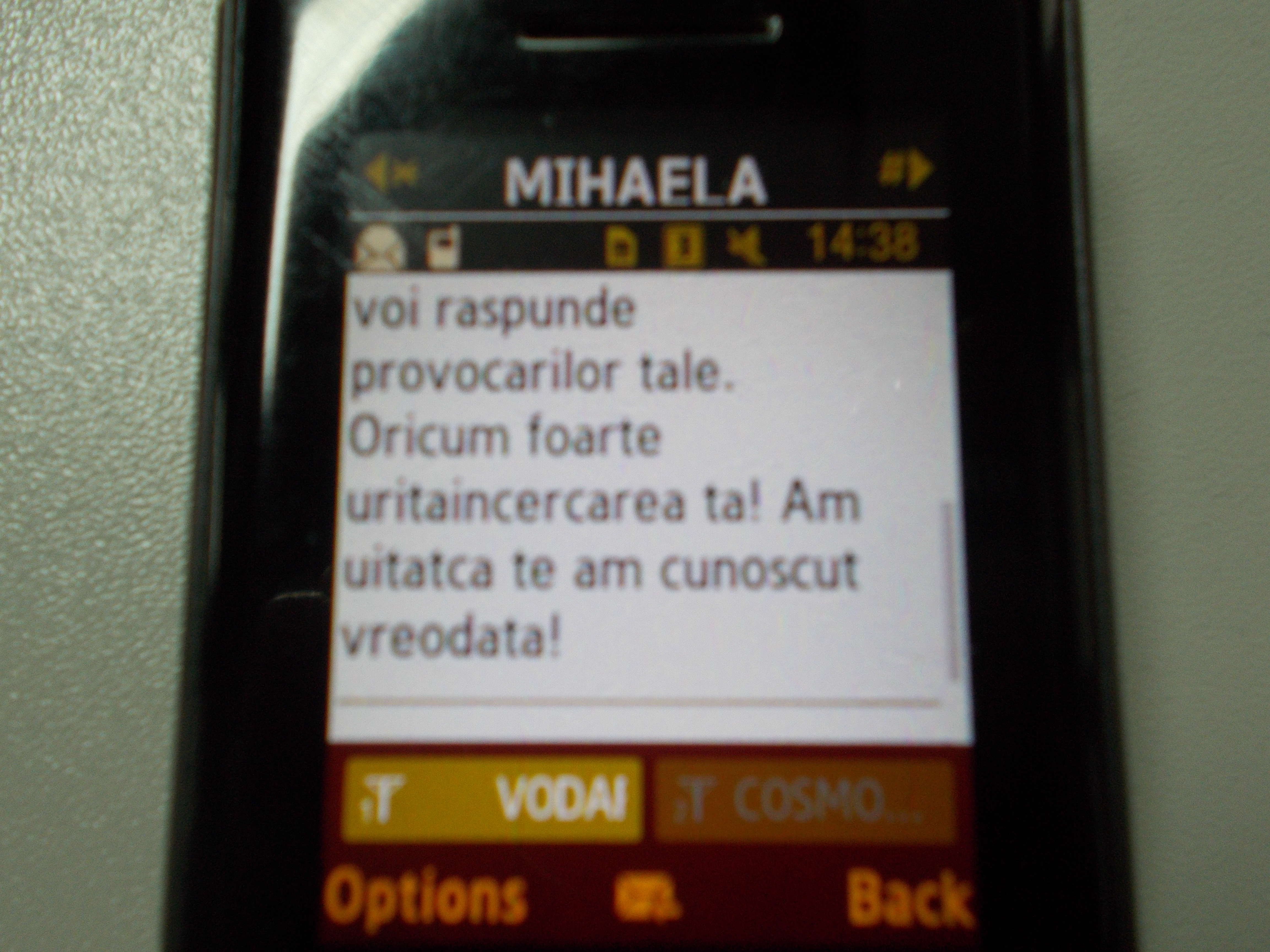 Mesaj Mihaela Constantinescu