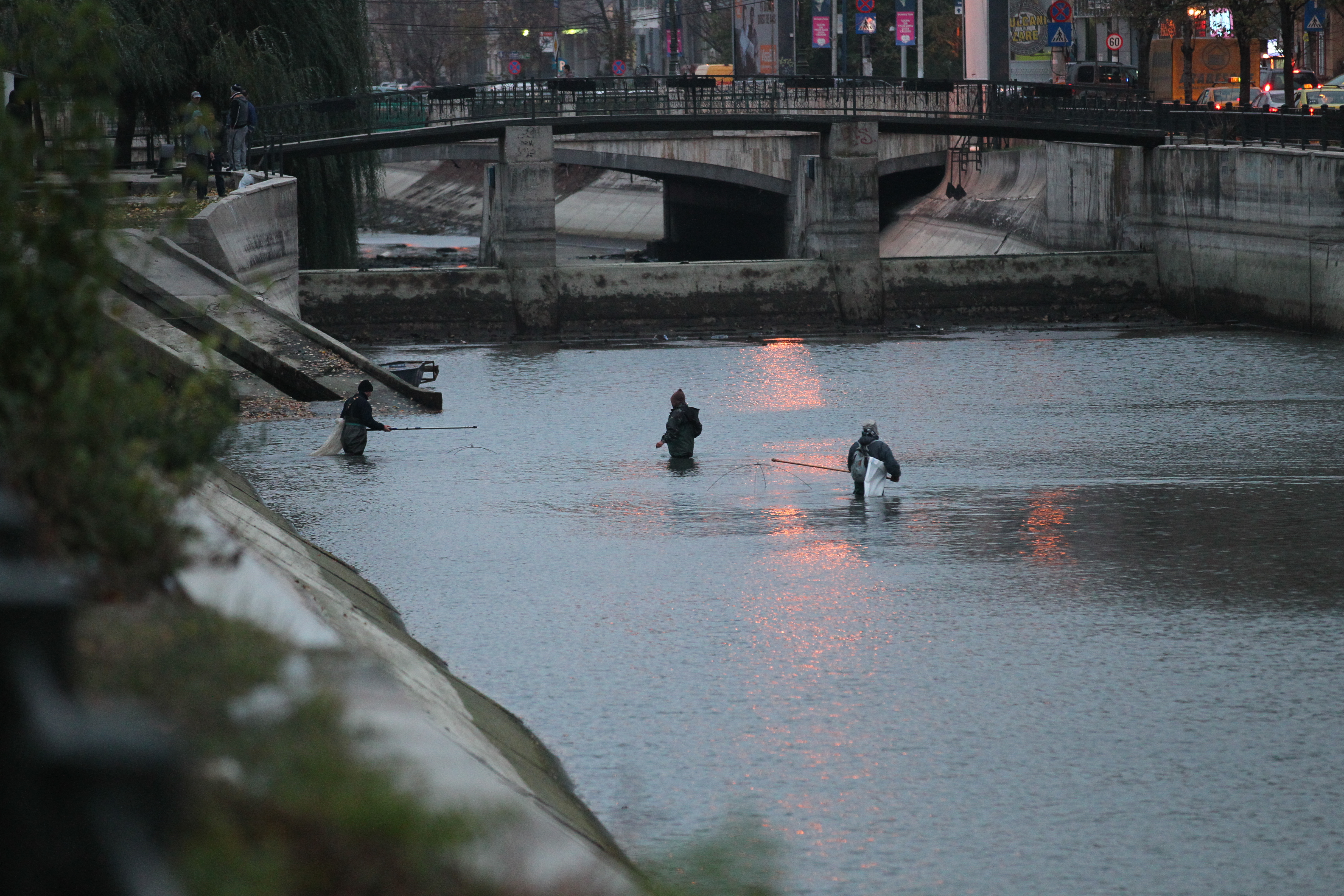 Pescarii s-au distrat pe cinste in Dambovita