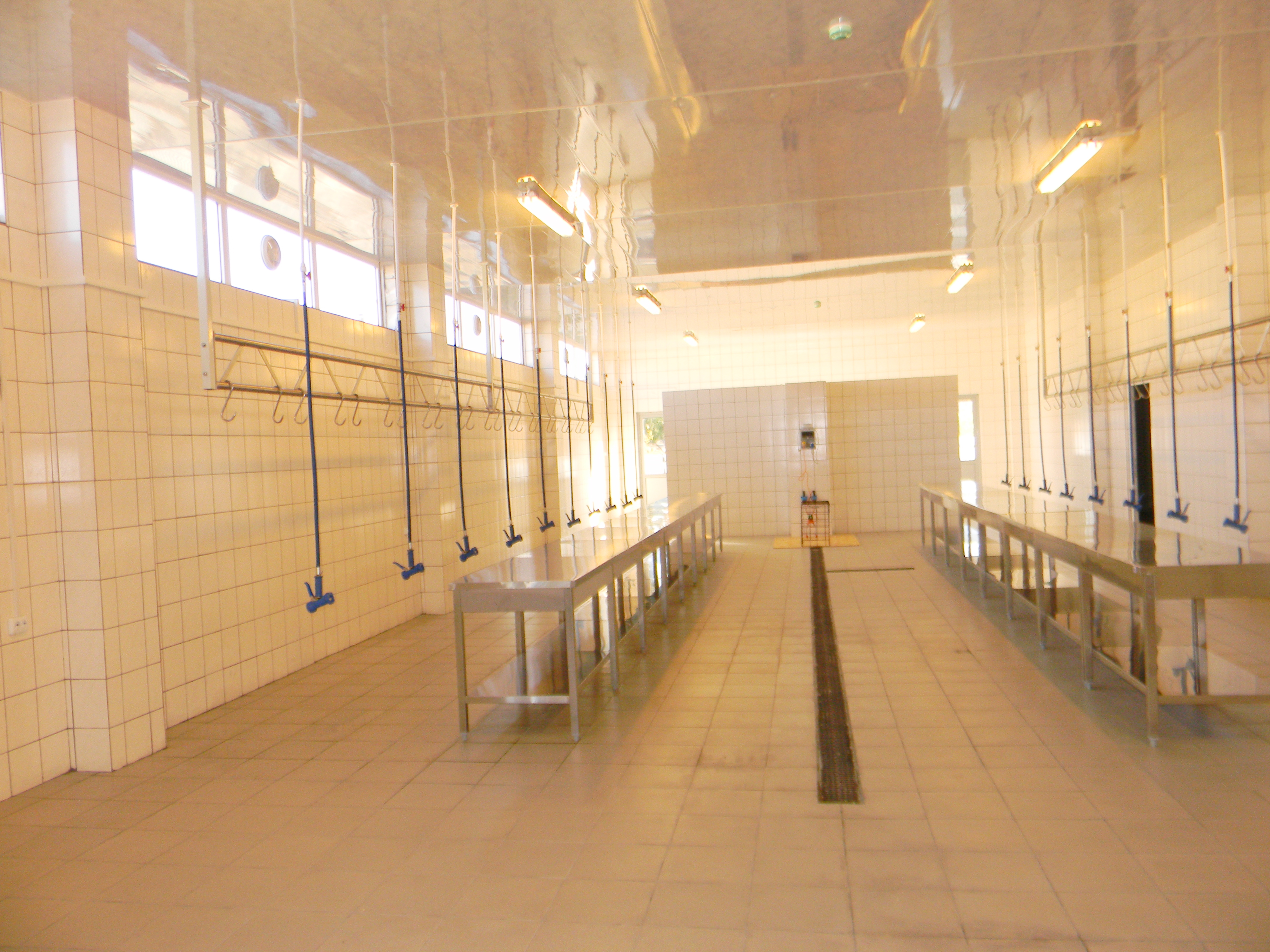 Piedone Piata Aparatorii Patriei