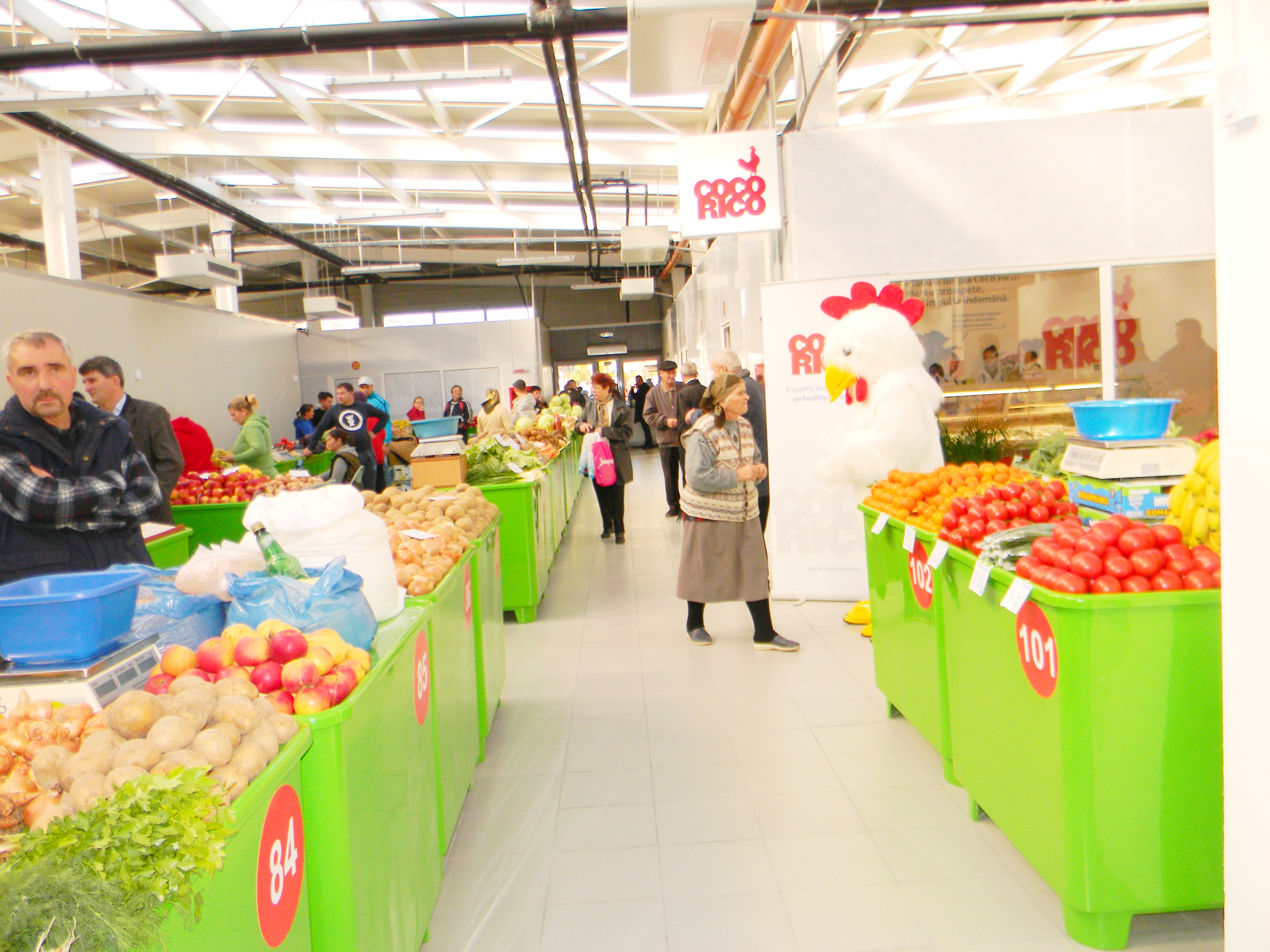 Piedone Piata Aparatorii Patriei