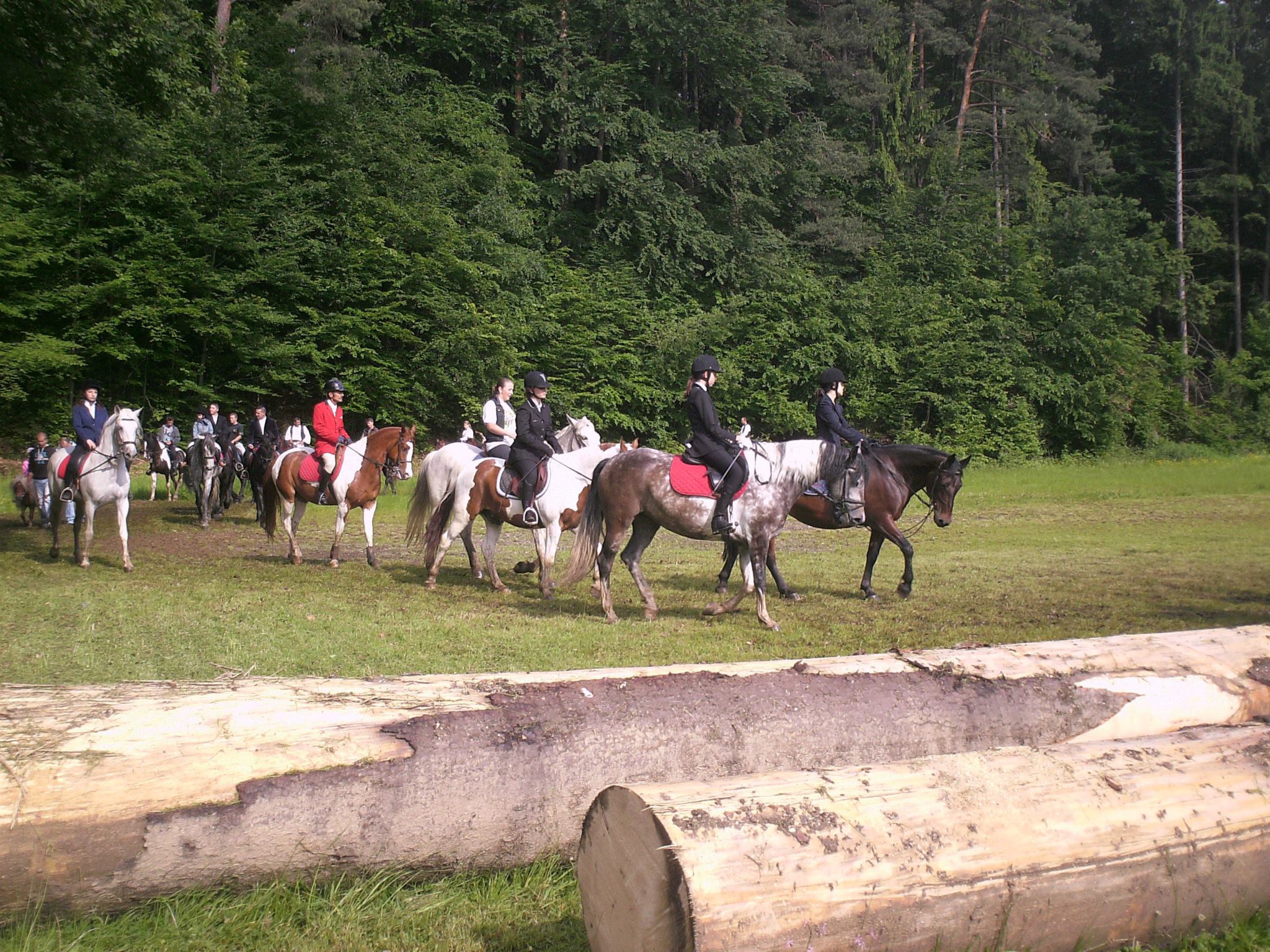 royal plo club rasnov