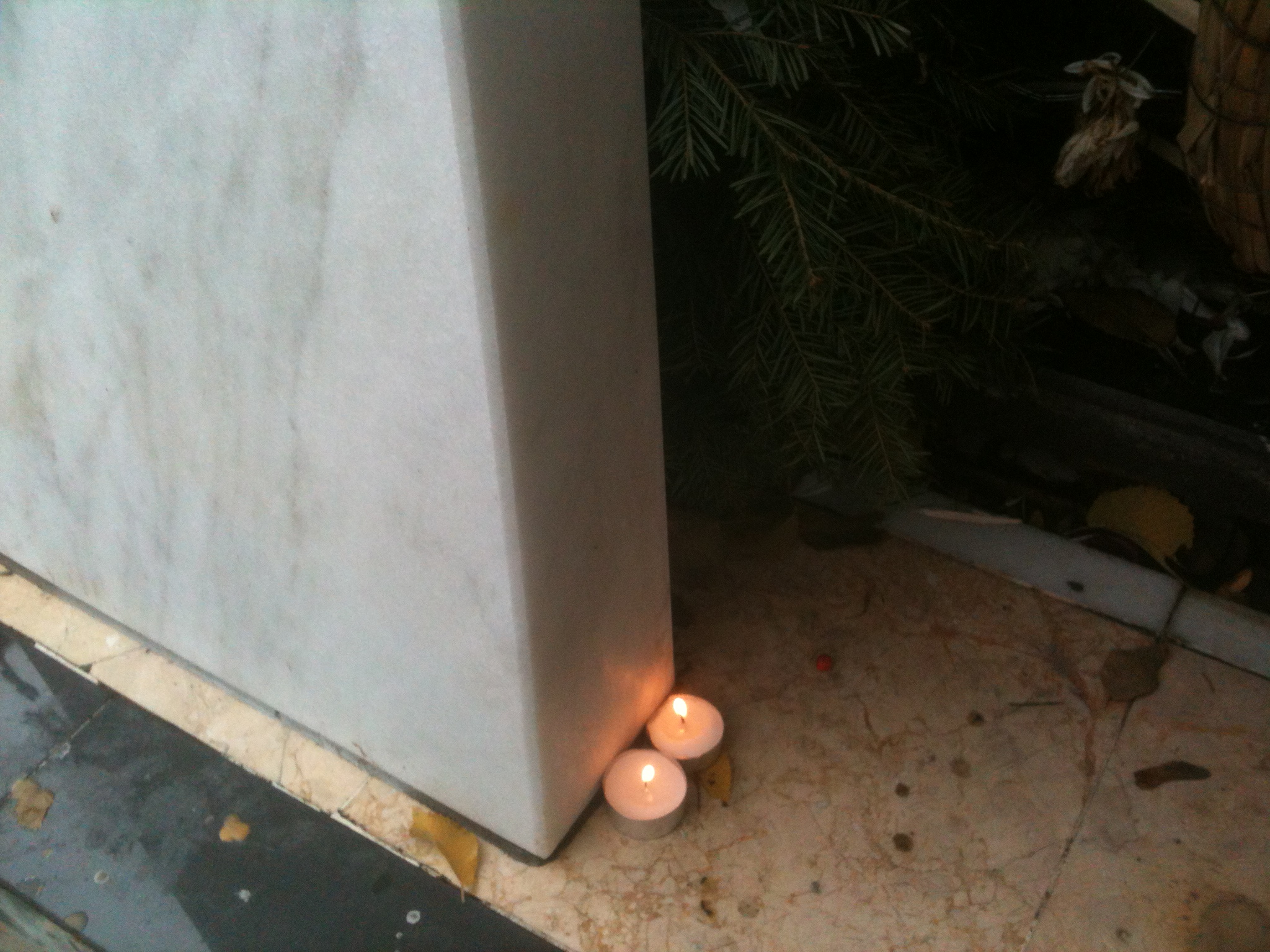 Anca Pandrea acuza ca un panglica ar fi fost furata de la mormantul lui Iura