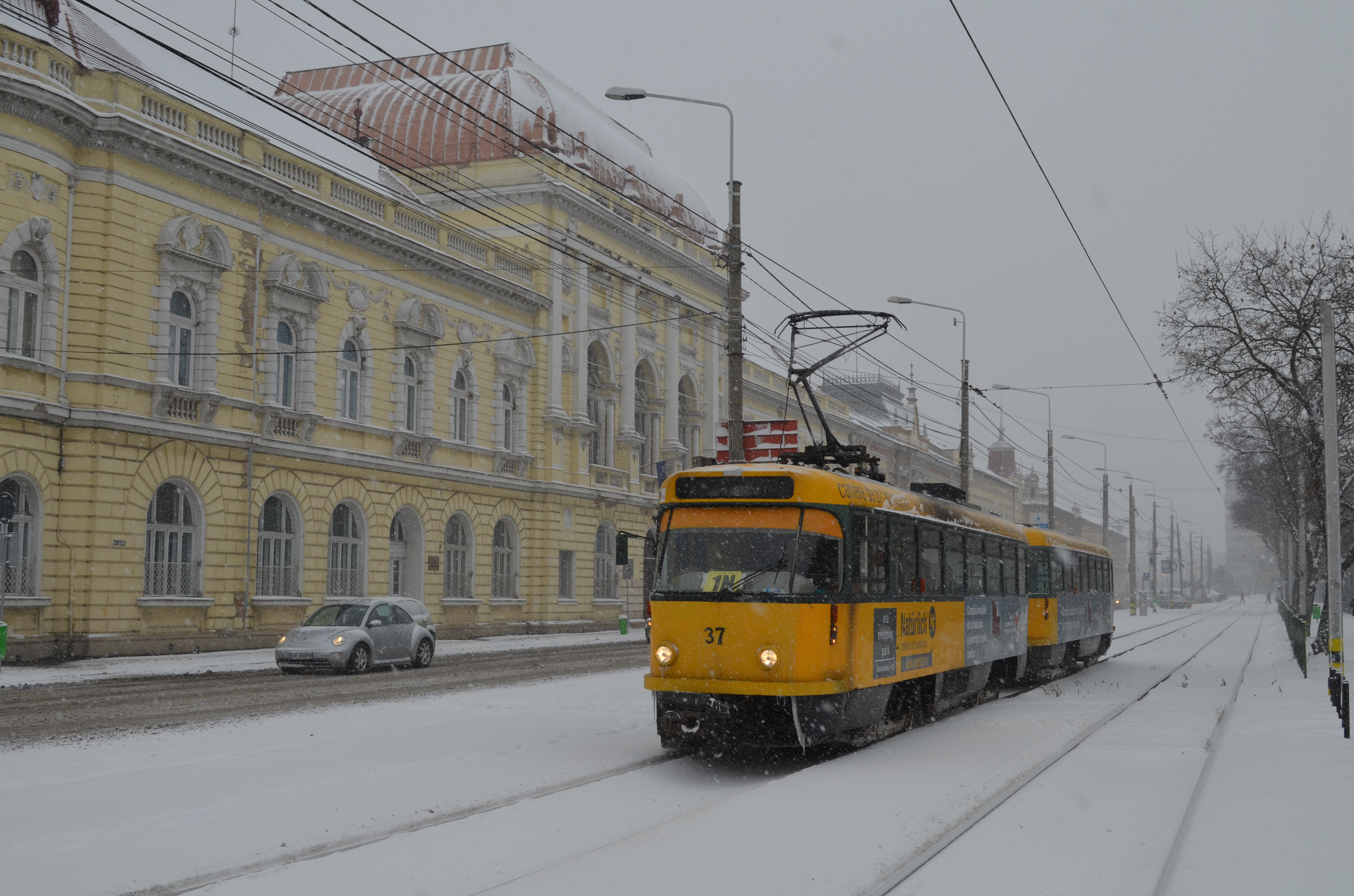 Iarna si-a intrat in drepturi. Mai multe orase din tara au deja un strat de zapada consistent pe strazi sursa ebihoreanul.ro