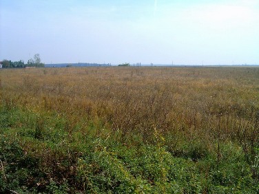 Astazi, Uzunov va ramane fara doua terenuri in valoare totala de 700.000 de euro