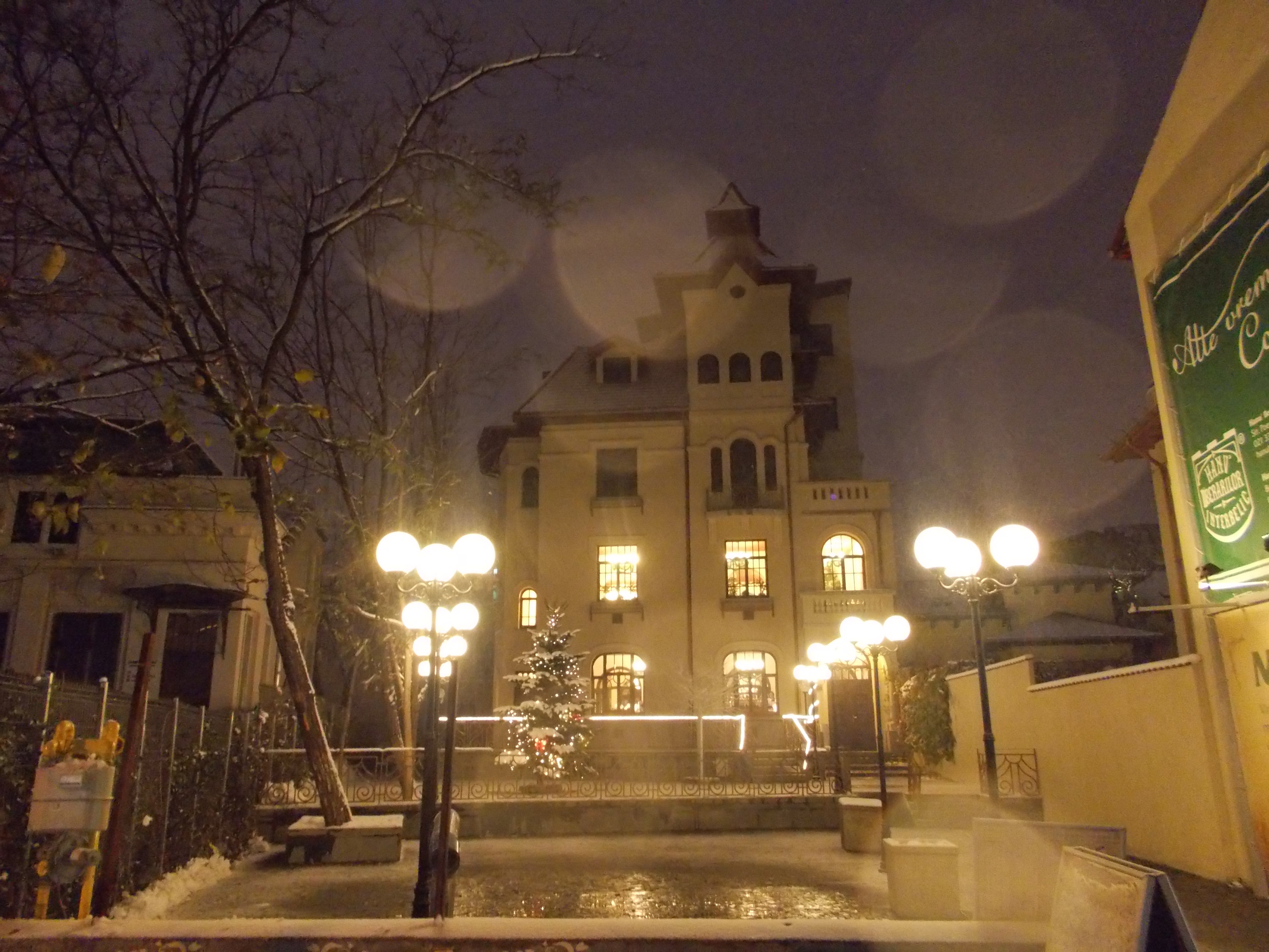 Divele Bucurestiului de altadata traiau pe picior mare chiar in cele mai luxoase conace din centrul Micului Paris