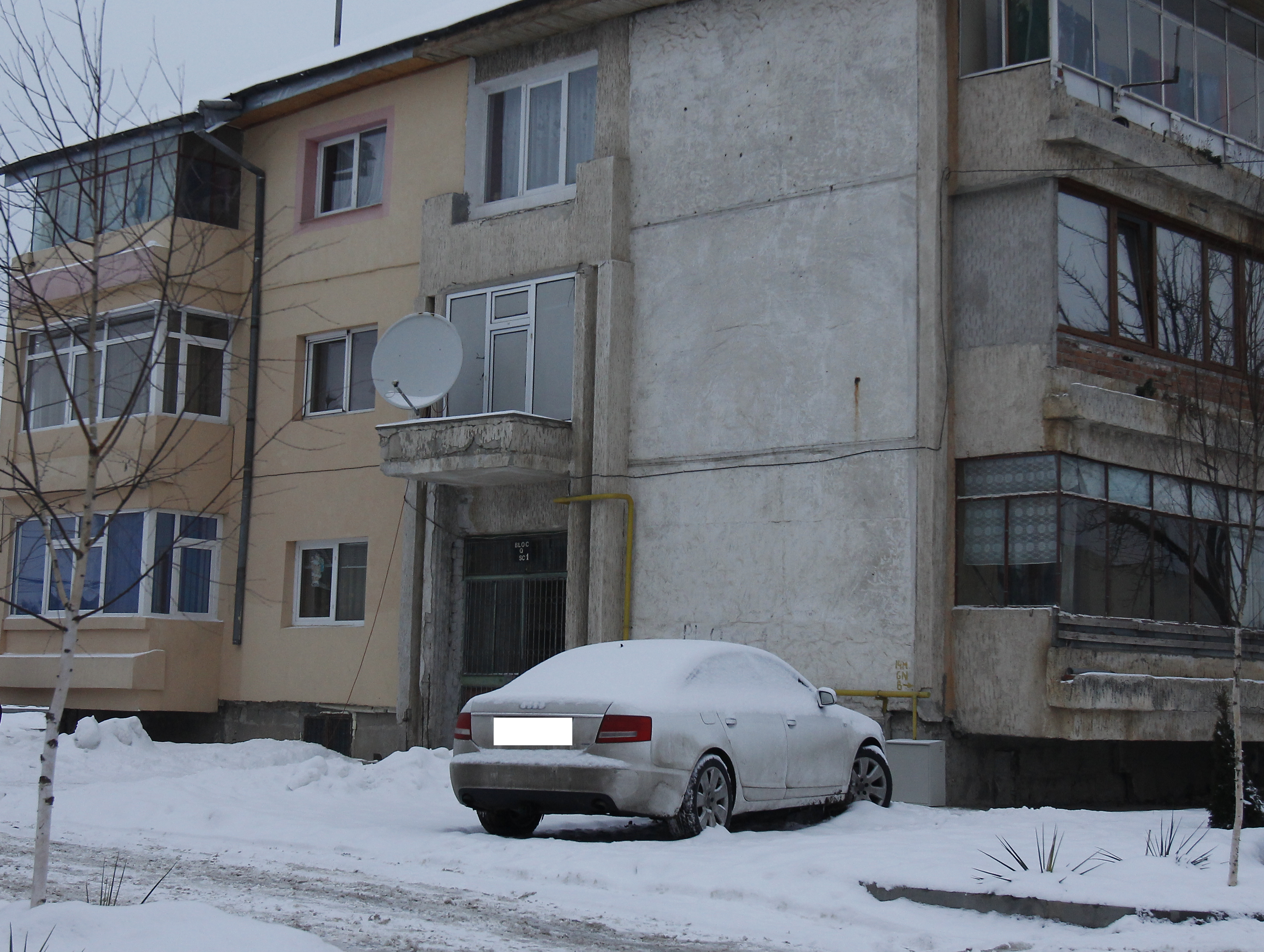 Fotomodelul nu si-a mai parcat masina in curtea casei dupa cearta cu soacra