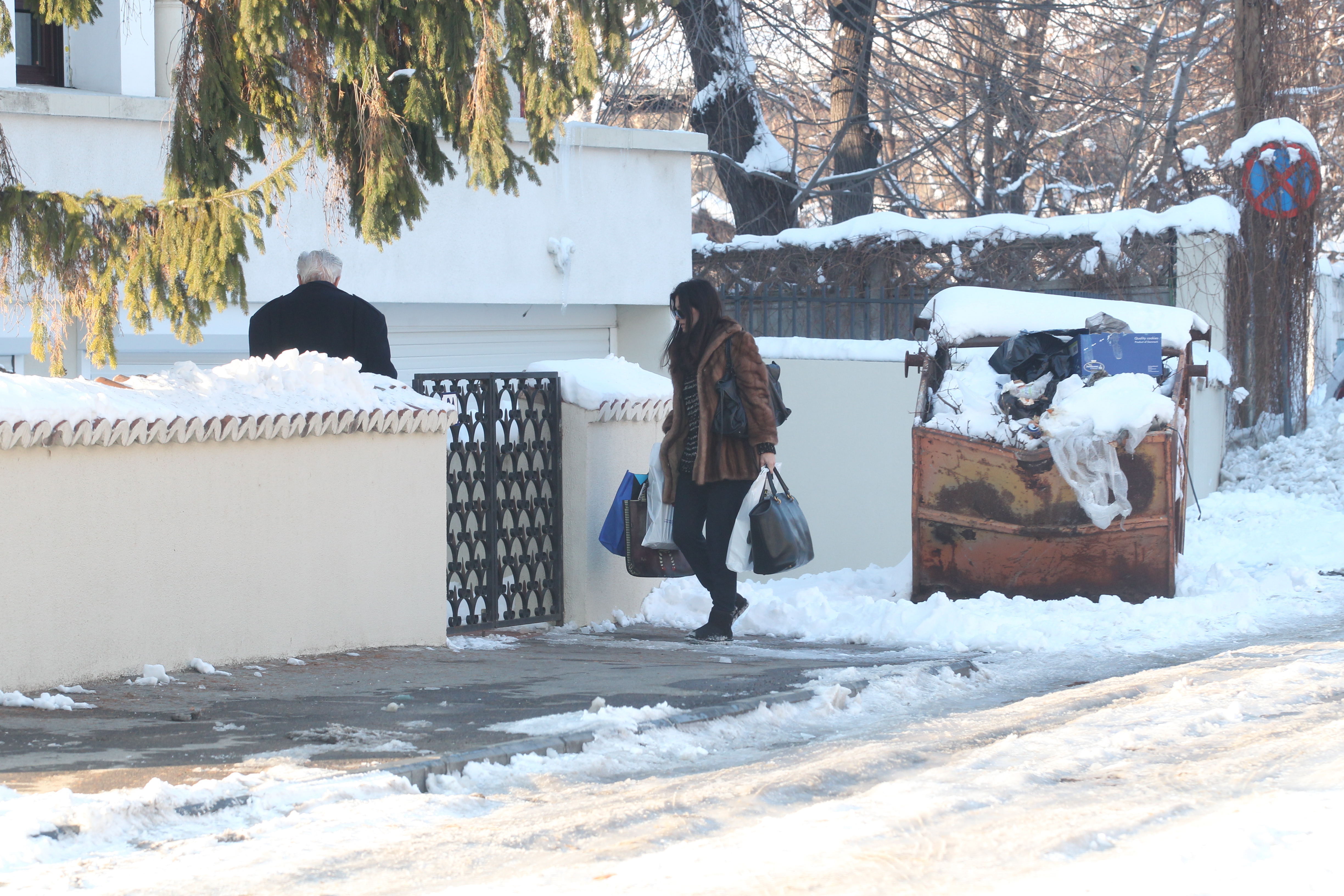 Sergiu Nicolaescu si Dana Ionica, ultima sa sotie