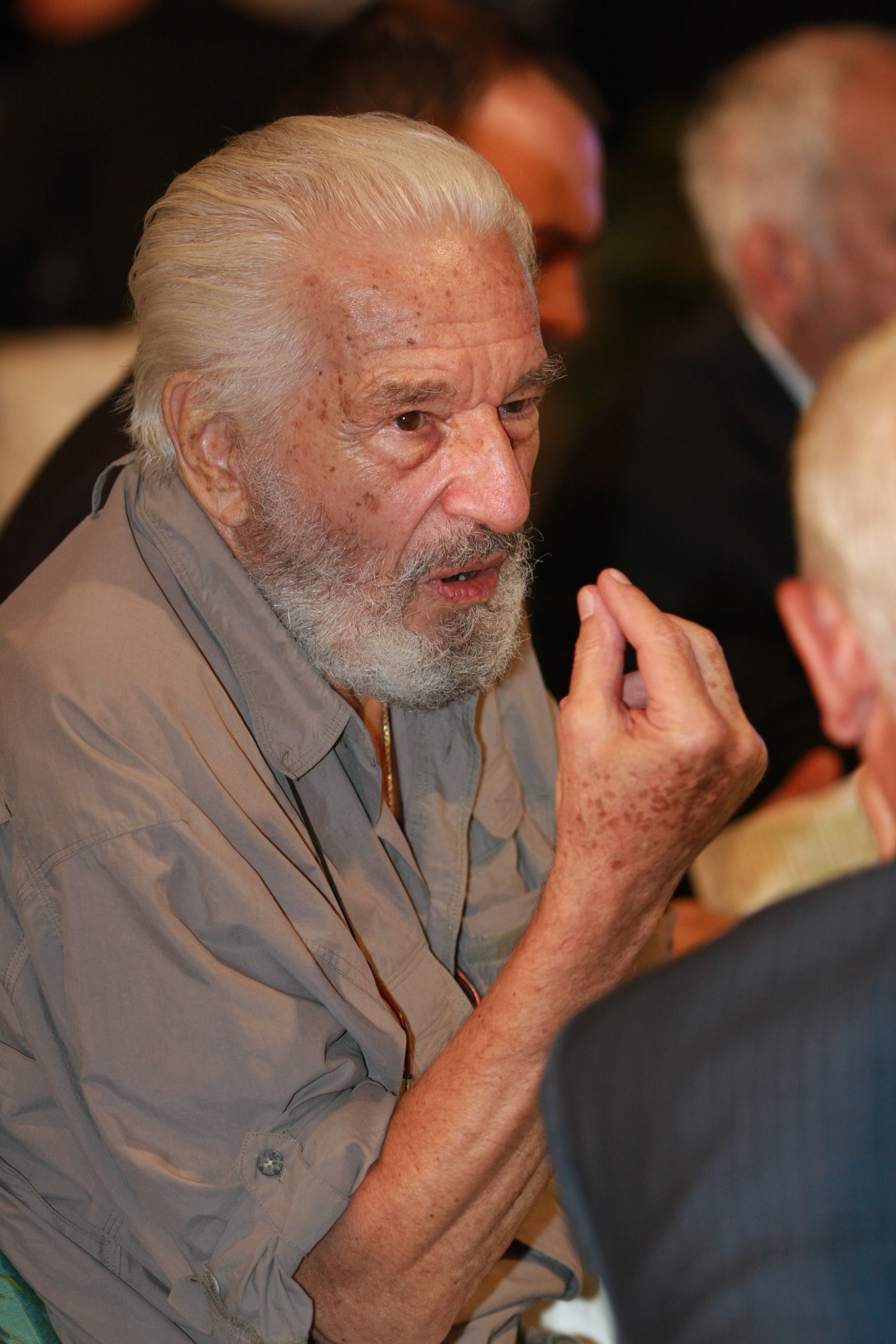 Sergiu Nicolaescu a fost casatorit cu Gabriela timp de zece ani