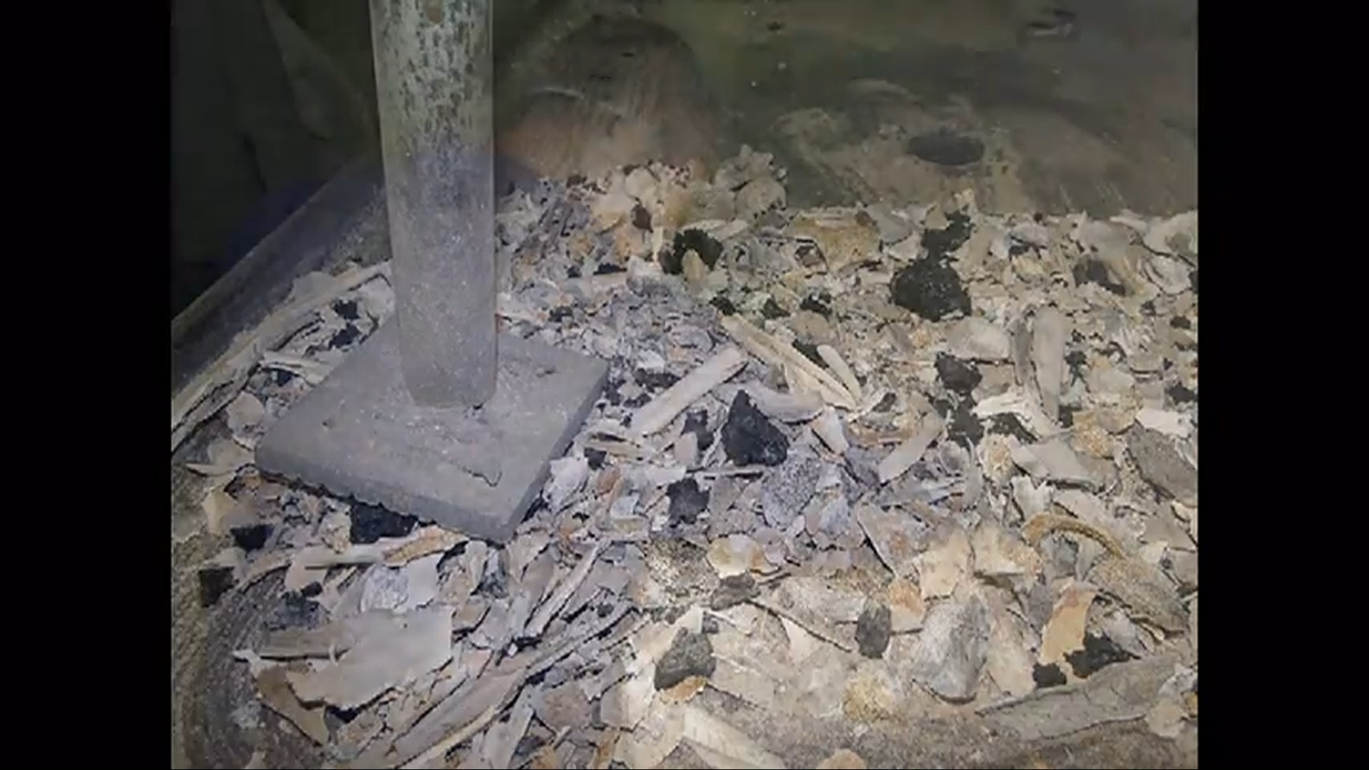 In cele din urma, cenusa este pisata