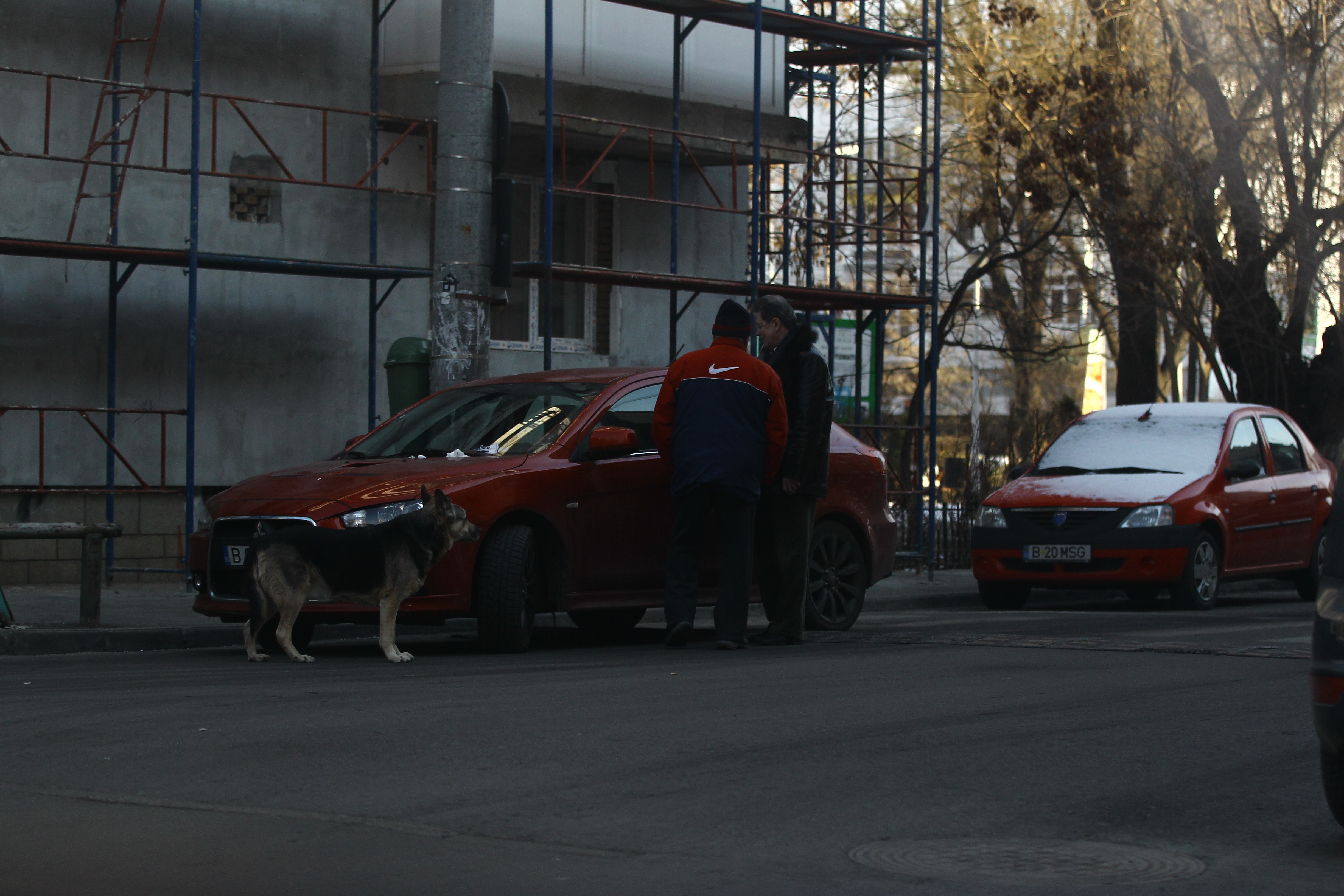 Cornel Dinu si cel mai bun prieten al sau, Printi