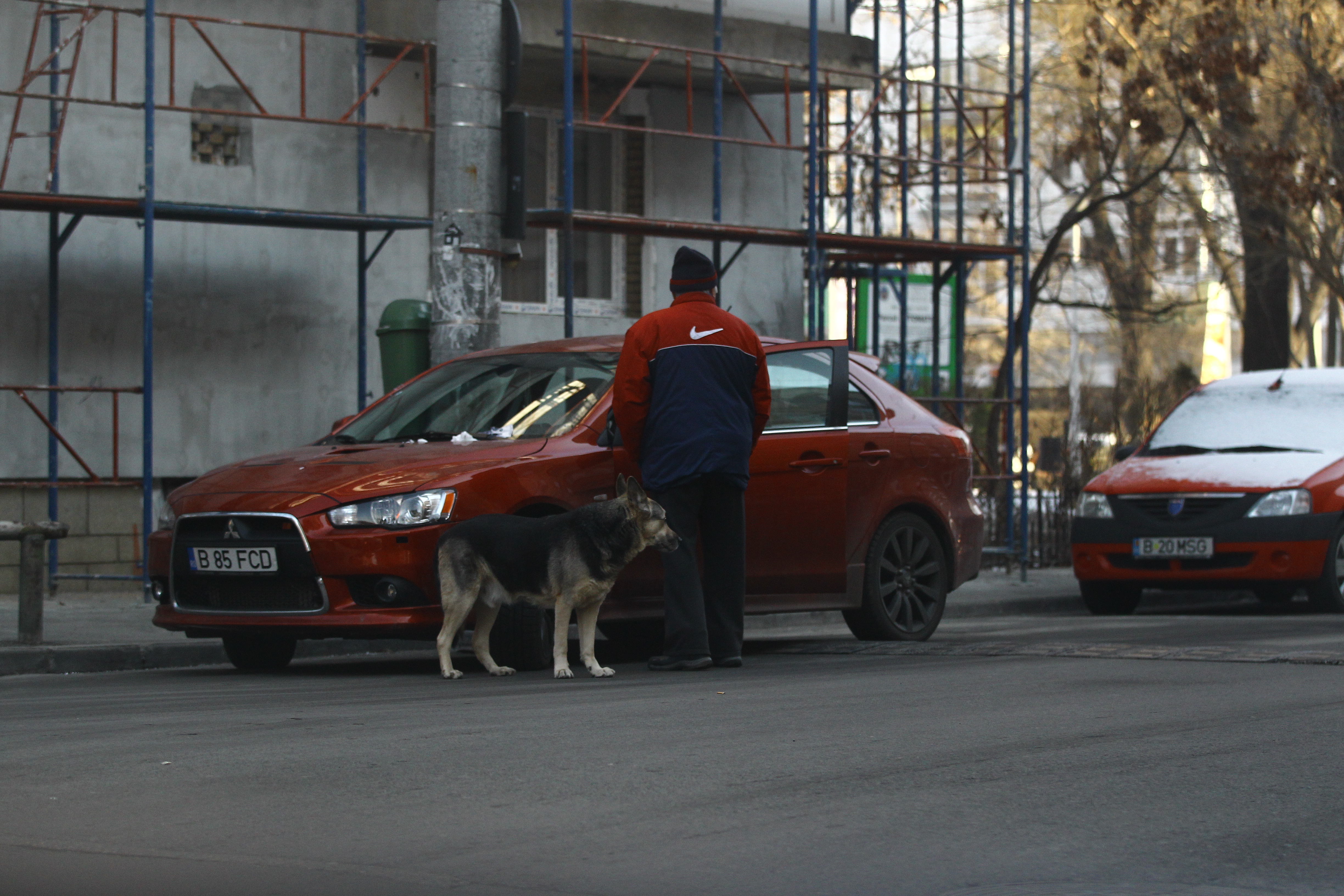 Printi il urmeaza peste tot pe Mister