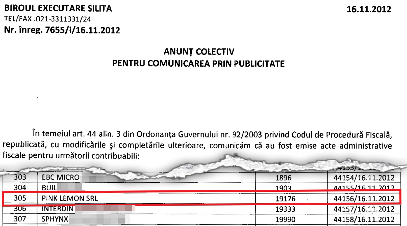 Firma Danei Nicolaescu are probleme financiare