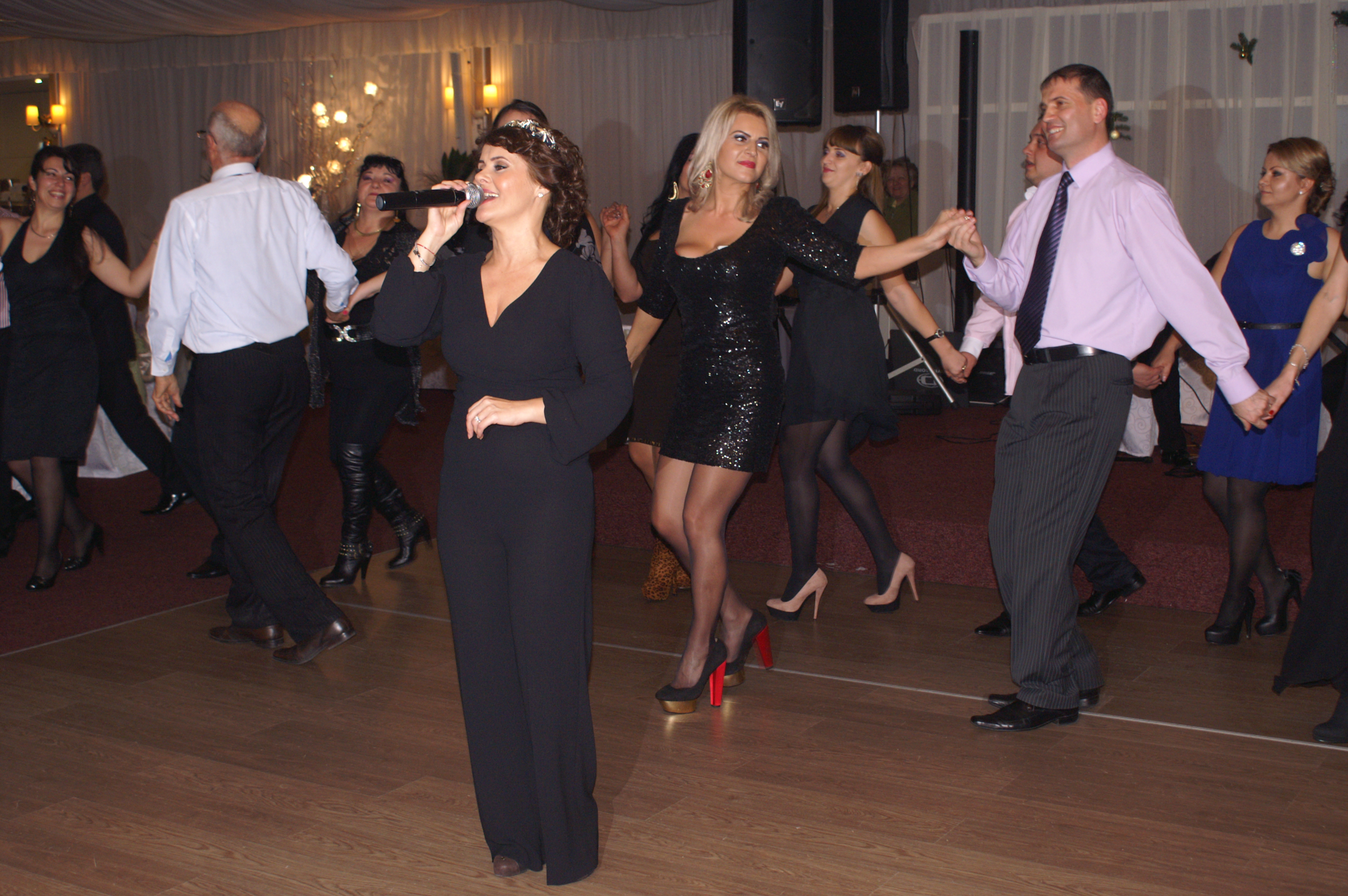 Cantaretii veniti la Revelionul artistilor de la Targu Jiu s-au prins in hora