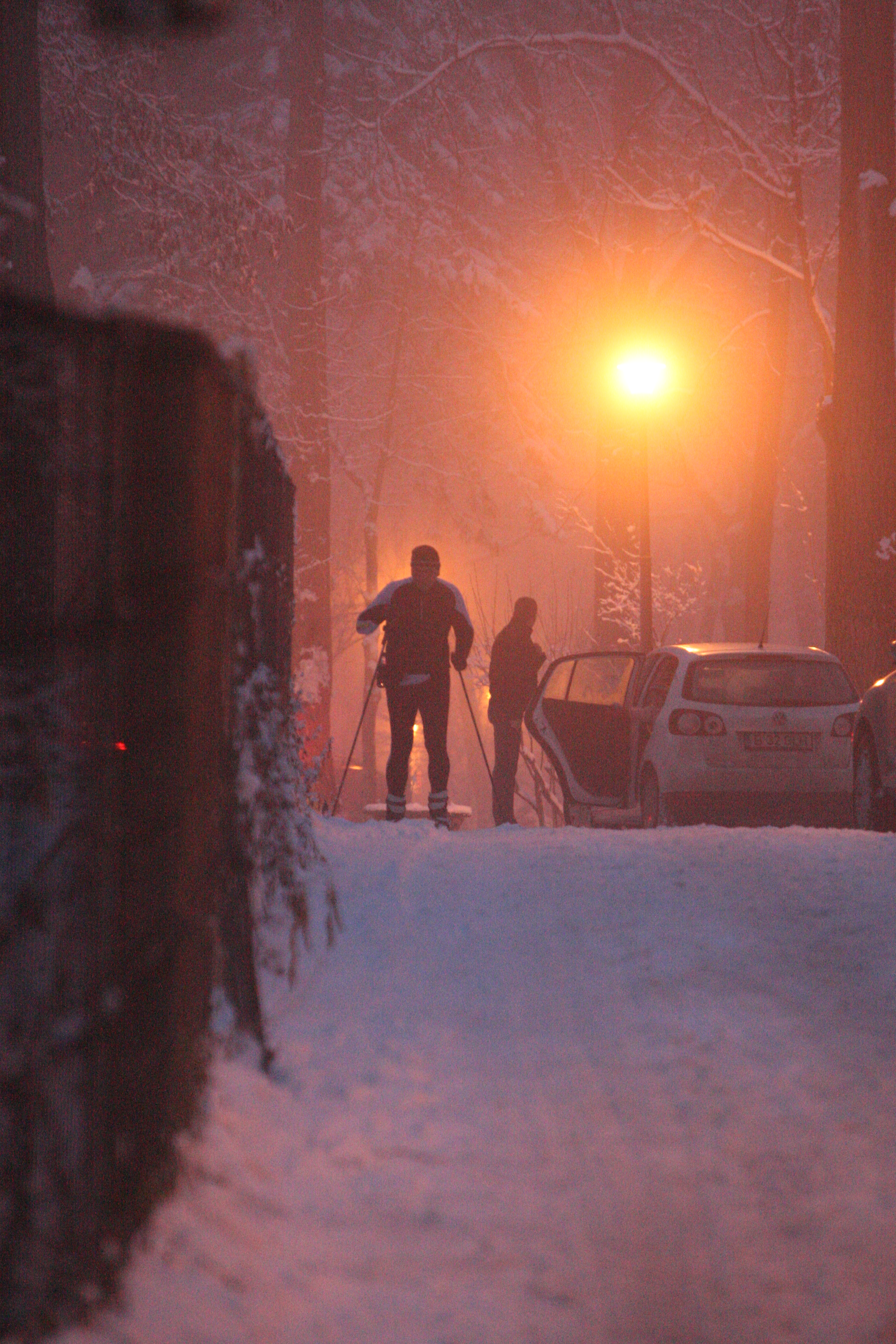 schior prin bucuresti