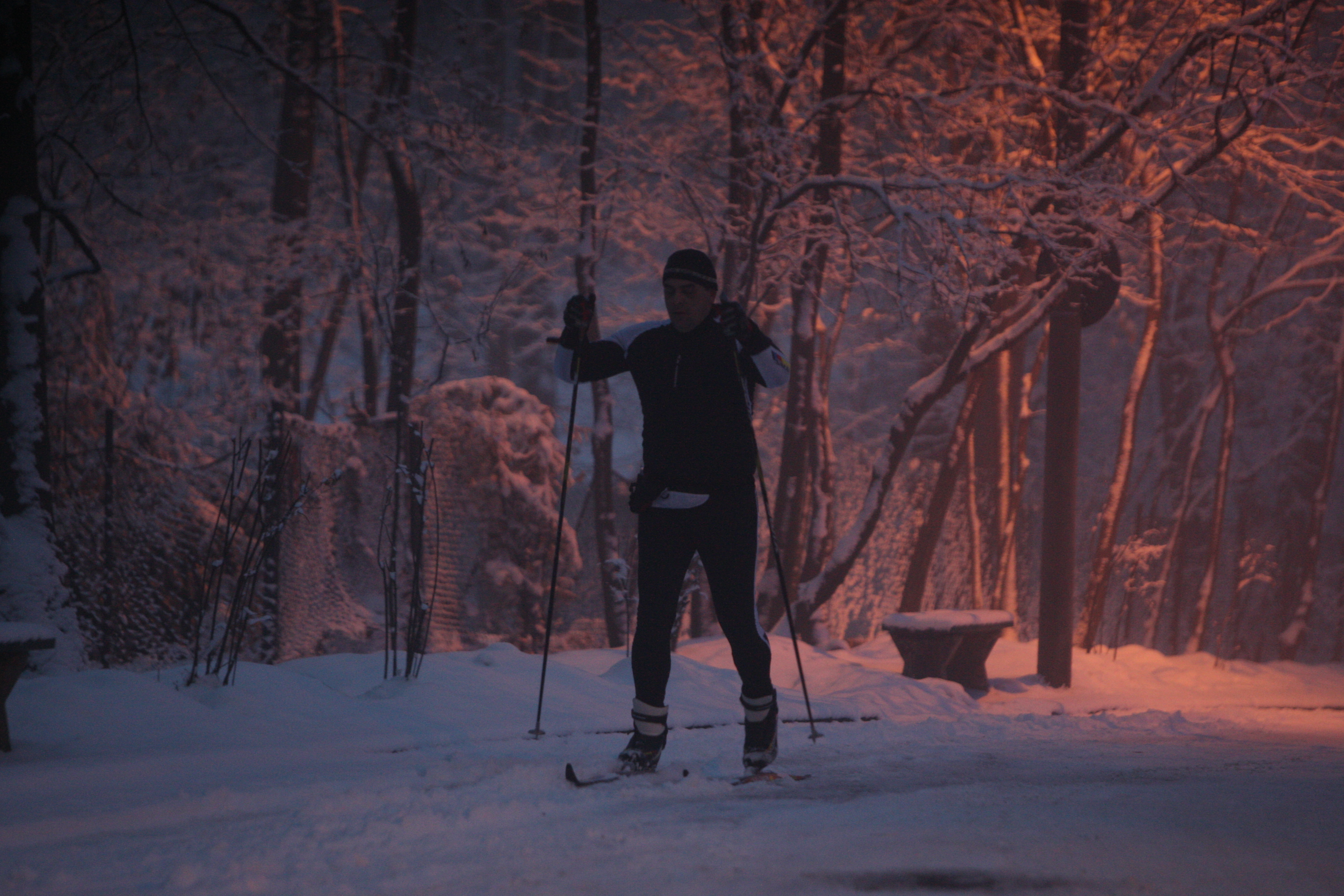 schior prin bucuresti