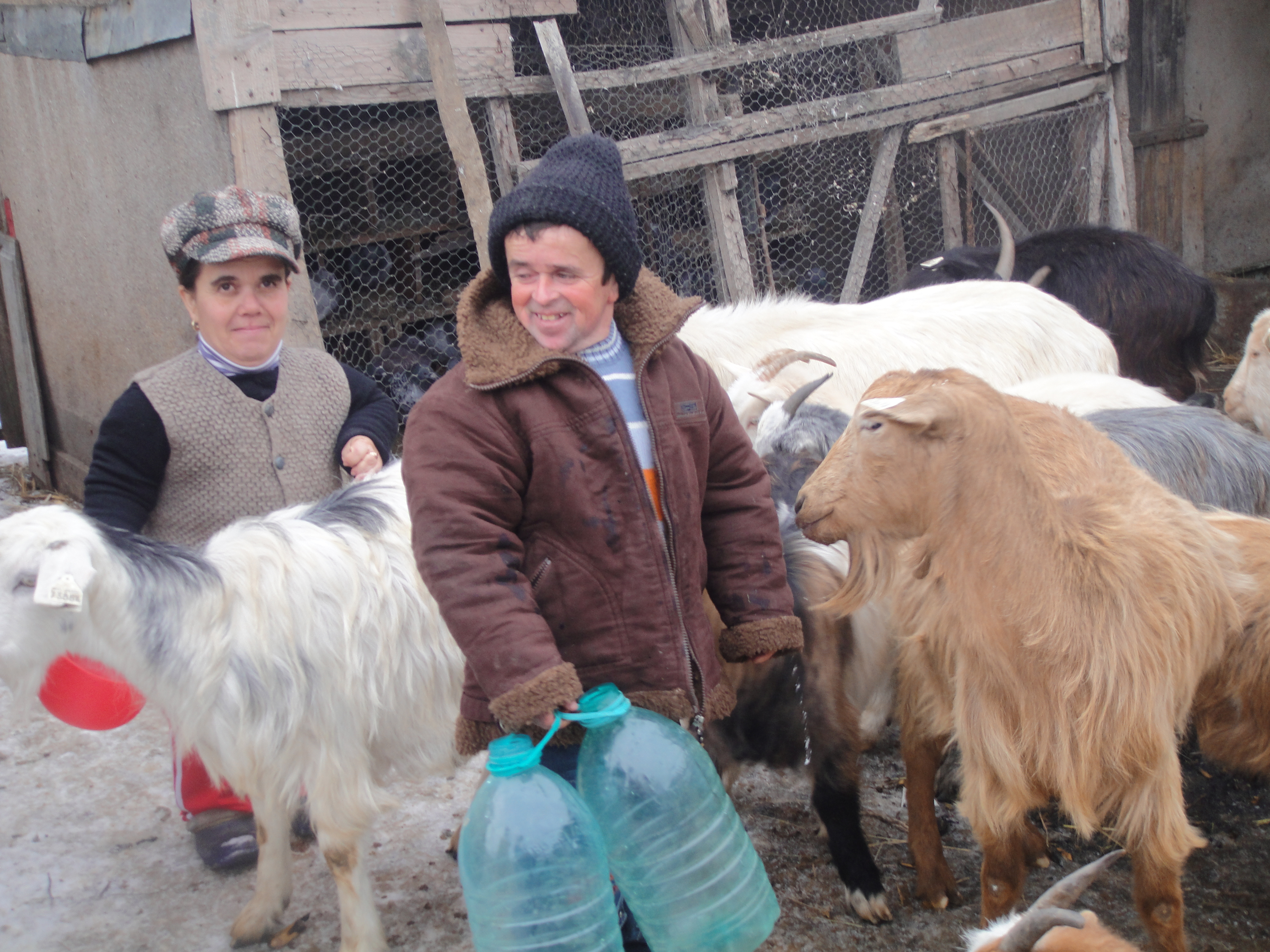 Familia Olteanu are grija de 23 de capre
