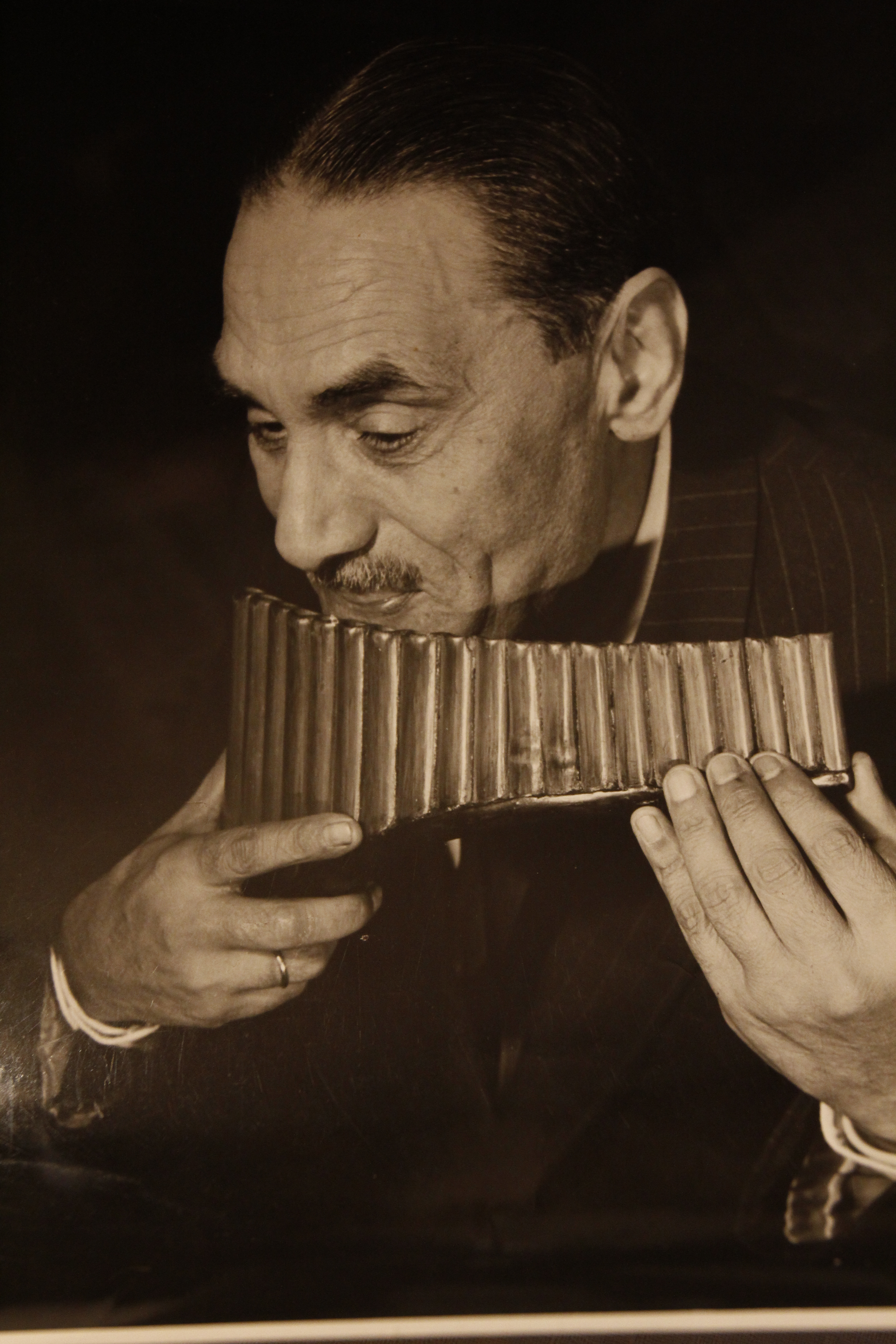 Marele naist Fanica Luca