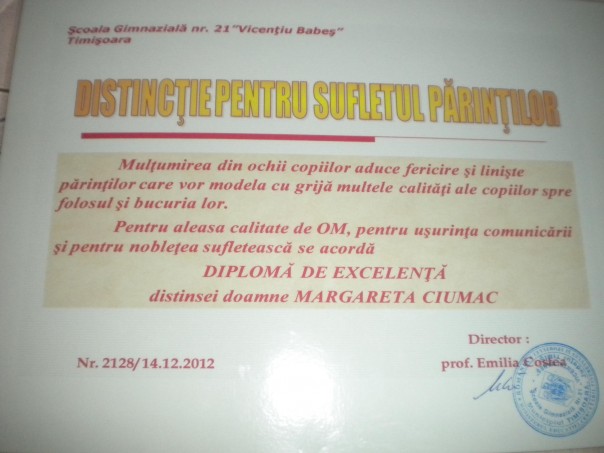 Scoala la care invata Sasa i-a acordat Magdei o diploma