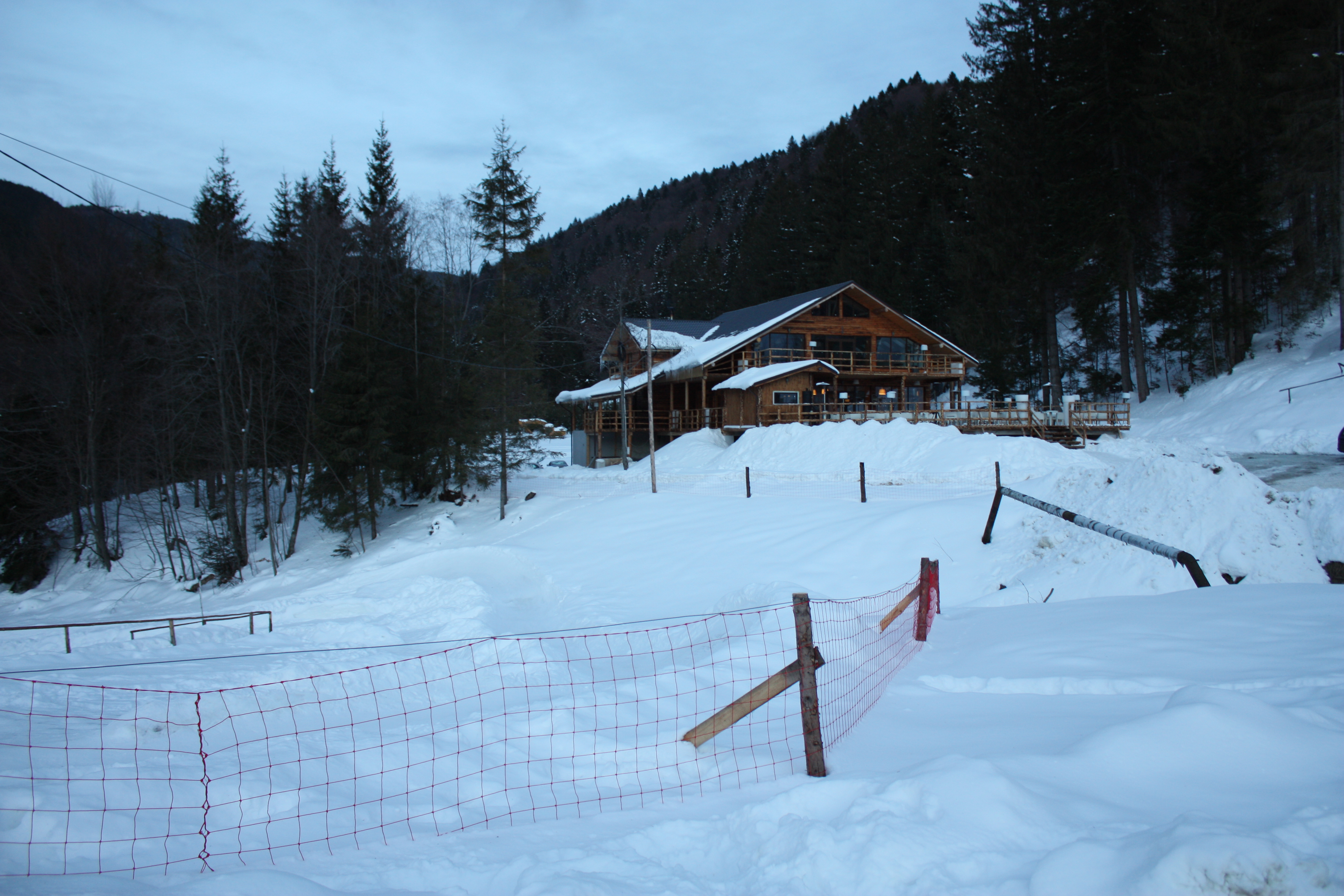 cabana andrei nastase