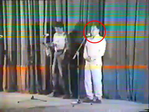 Mugur Mihaescu avea par la inceputul carierei