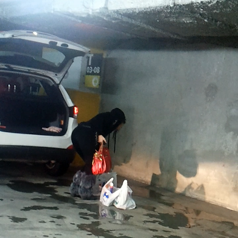 Sotia manelistului incarca in masina pungile cu alimente