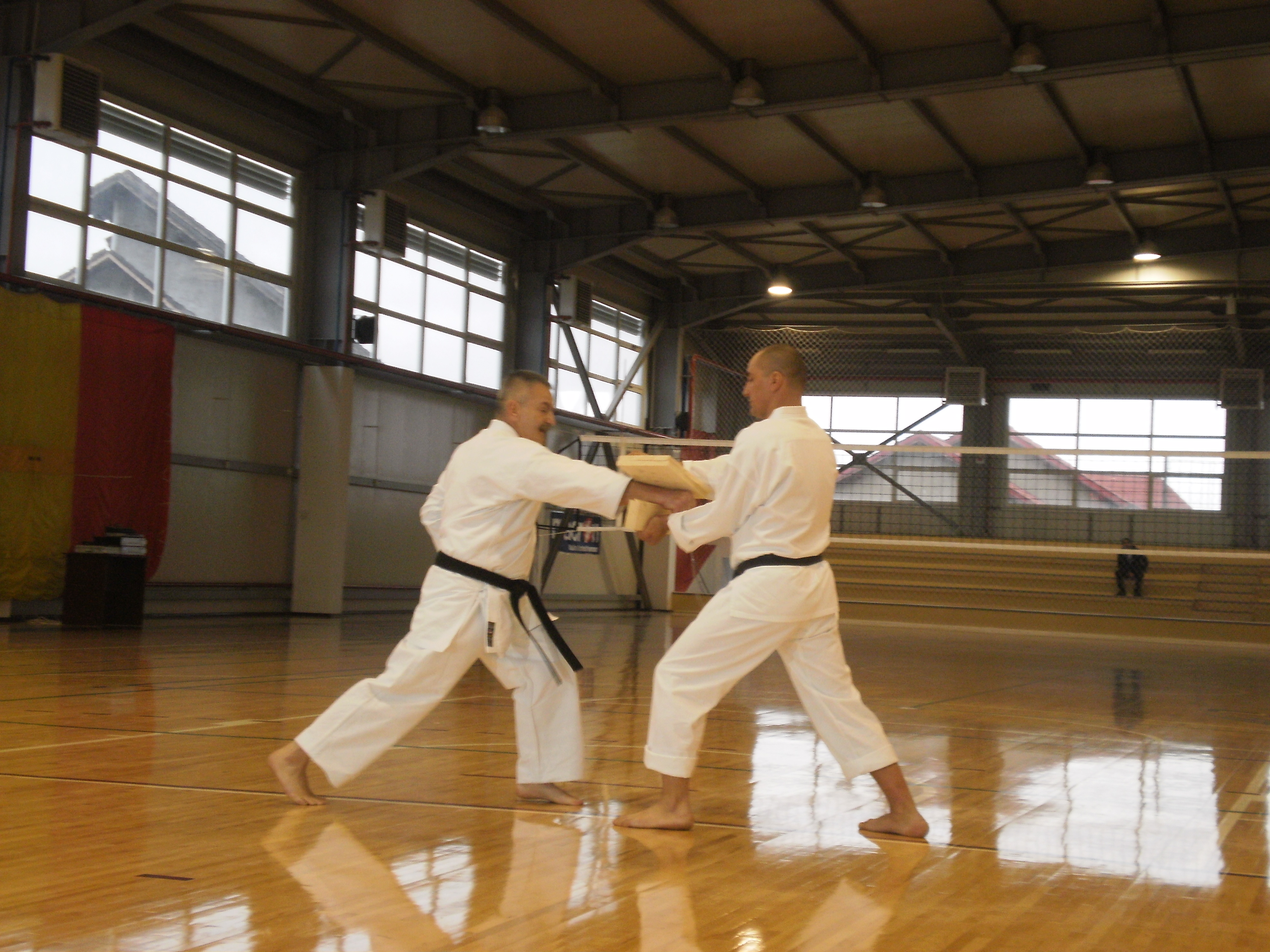 Senatorul antreneaza o grupa de copii, in fata carora face frecvent demonstratii