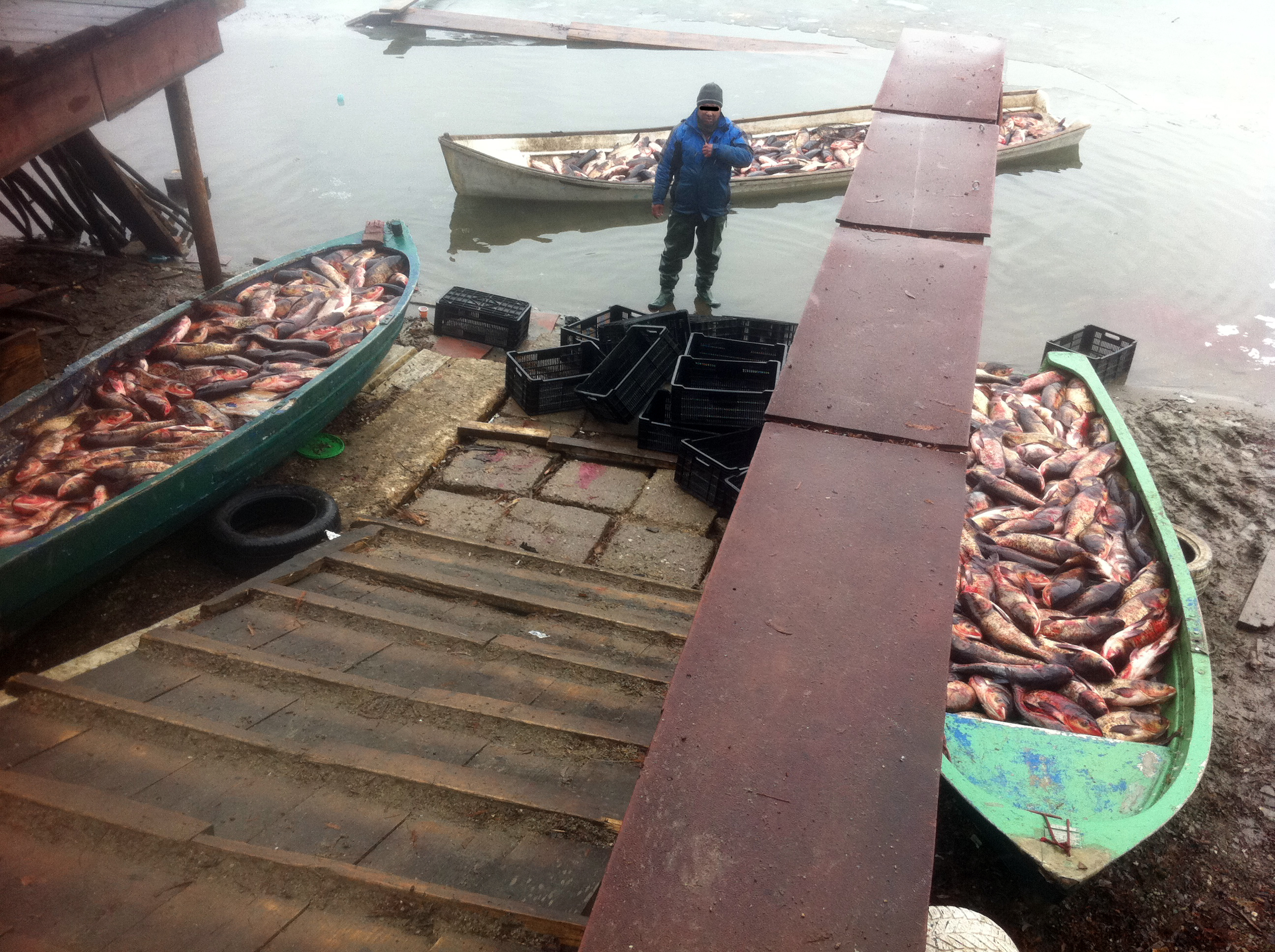 Pestele din barci urmeaza sa fie vandut