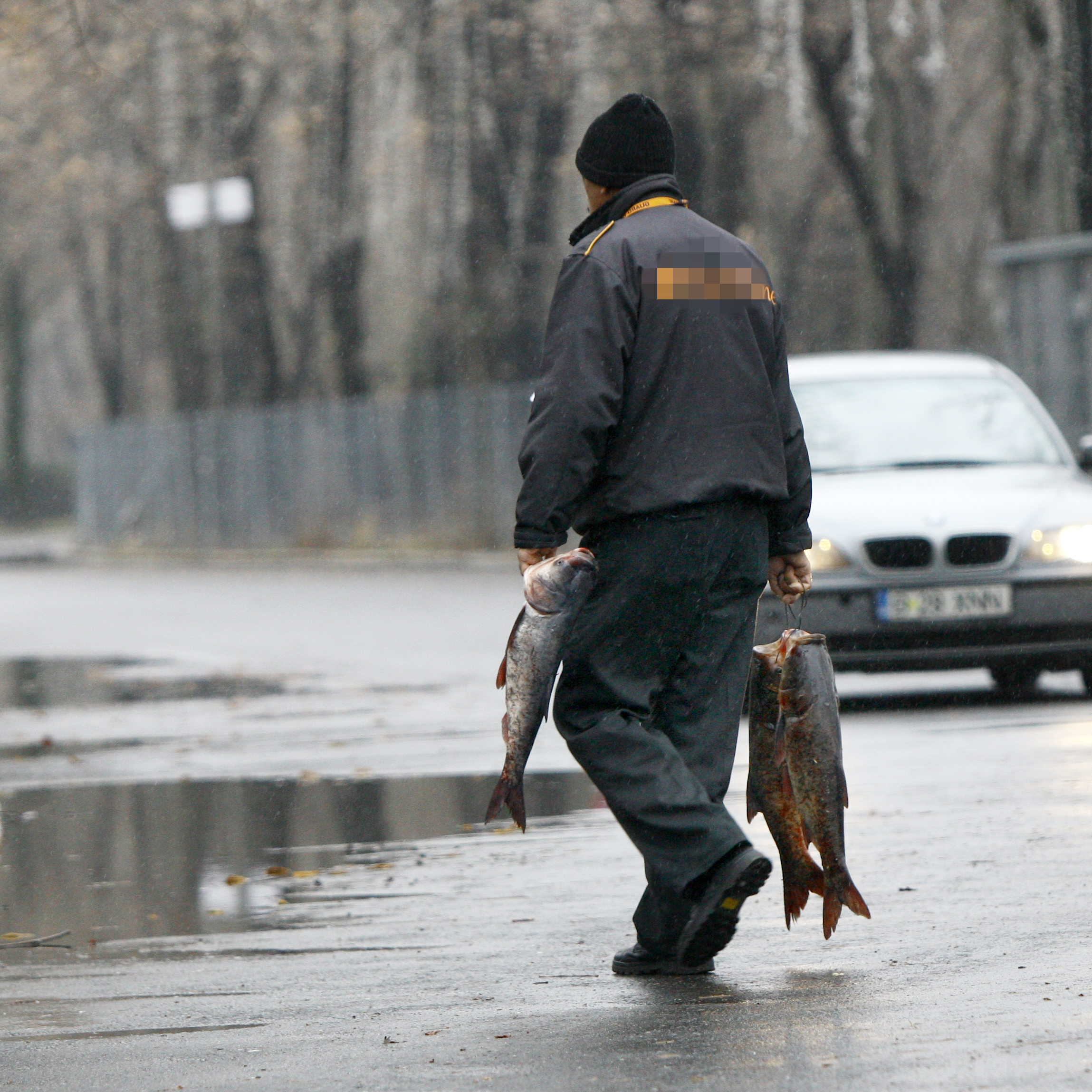 Paznicul parcului a cumparat si el peste