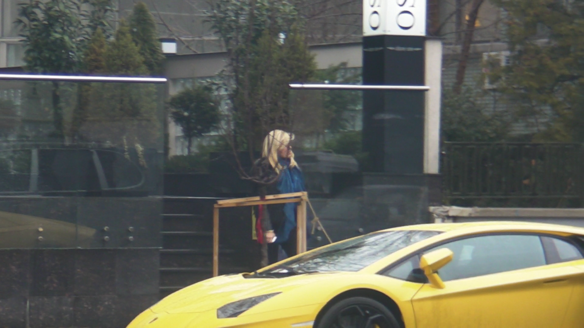 Elena Udrea a luat pranzul la un restaurant din centrul Capitalei