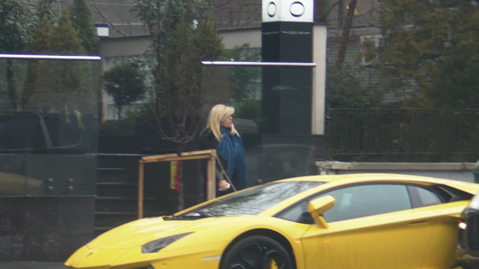 Elena Udrea a luat pranzul la un restaurant din centrul Capitalei