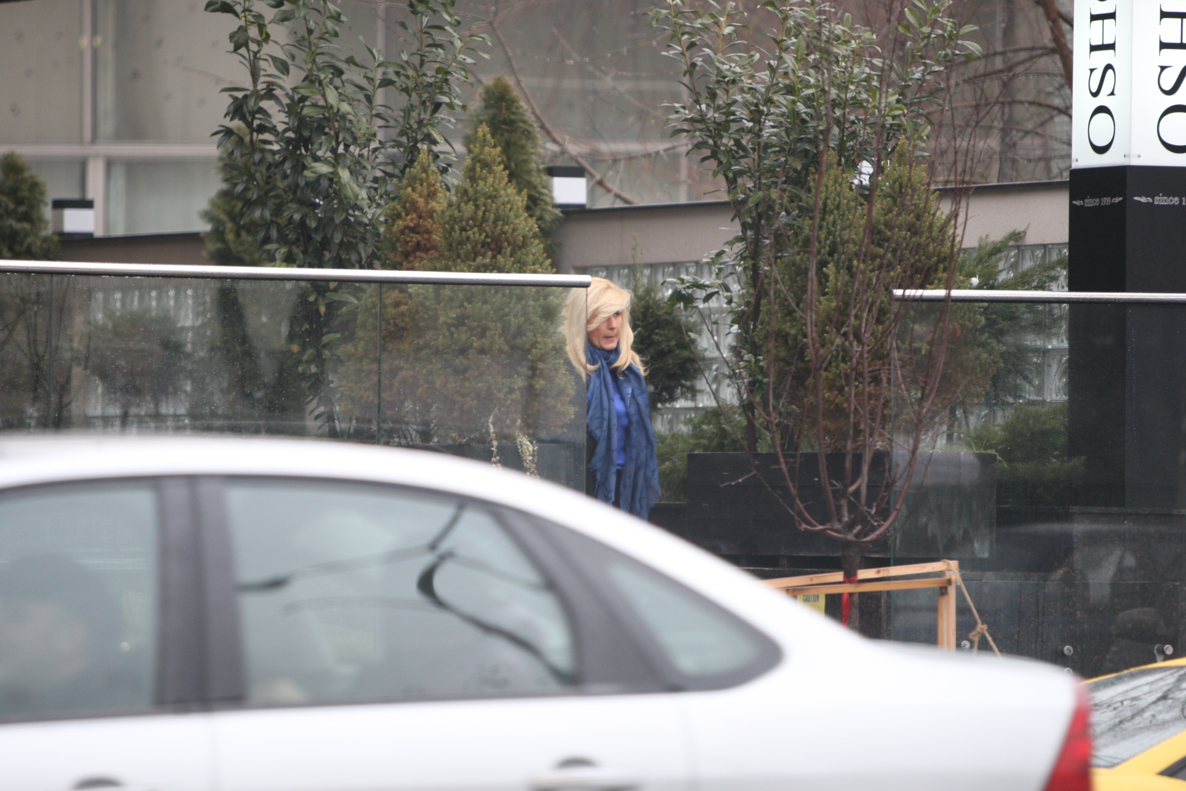 Elena Udrea a luat pranzul la un restaurant din centrul Capitalei