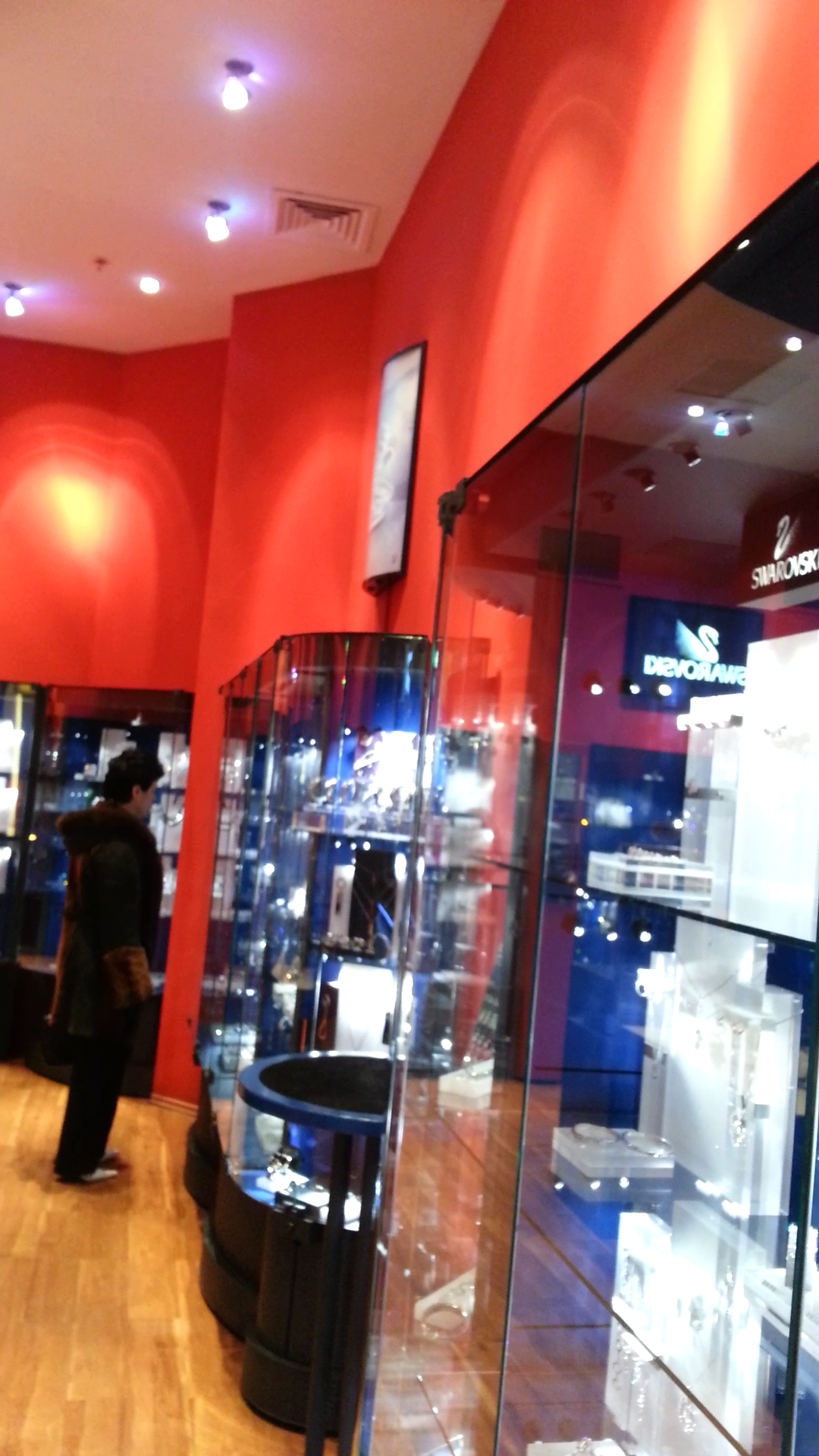 Ca sa nu-si streseze sotul, fosta deputata a intrat singura prin mai multe magazine