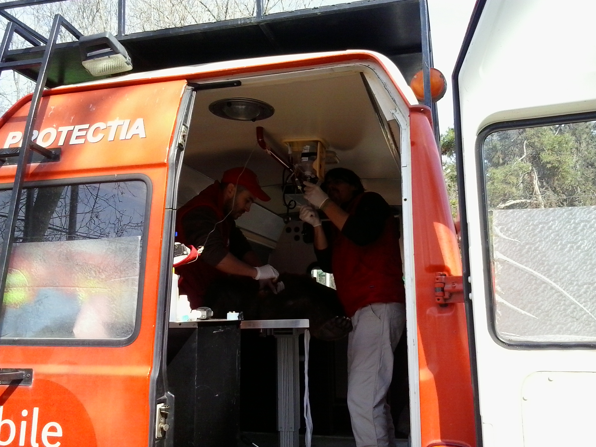 Succes. Operatia a durat 30 de minute si s-a terminat cu bine