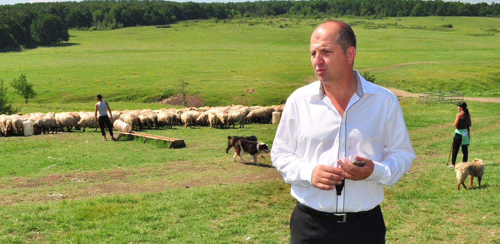 Afacere. Pana acum “regele ciobanilor” a strans aproximativ 20.000 de mioare, 96 de caini, 112 magari si 7.000 de hectare de teren