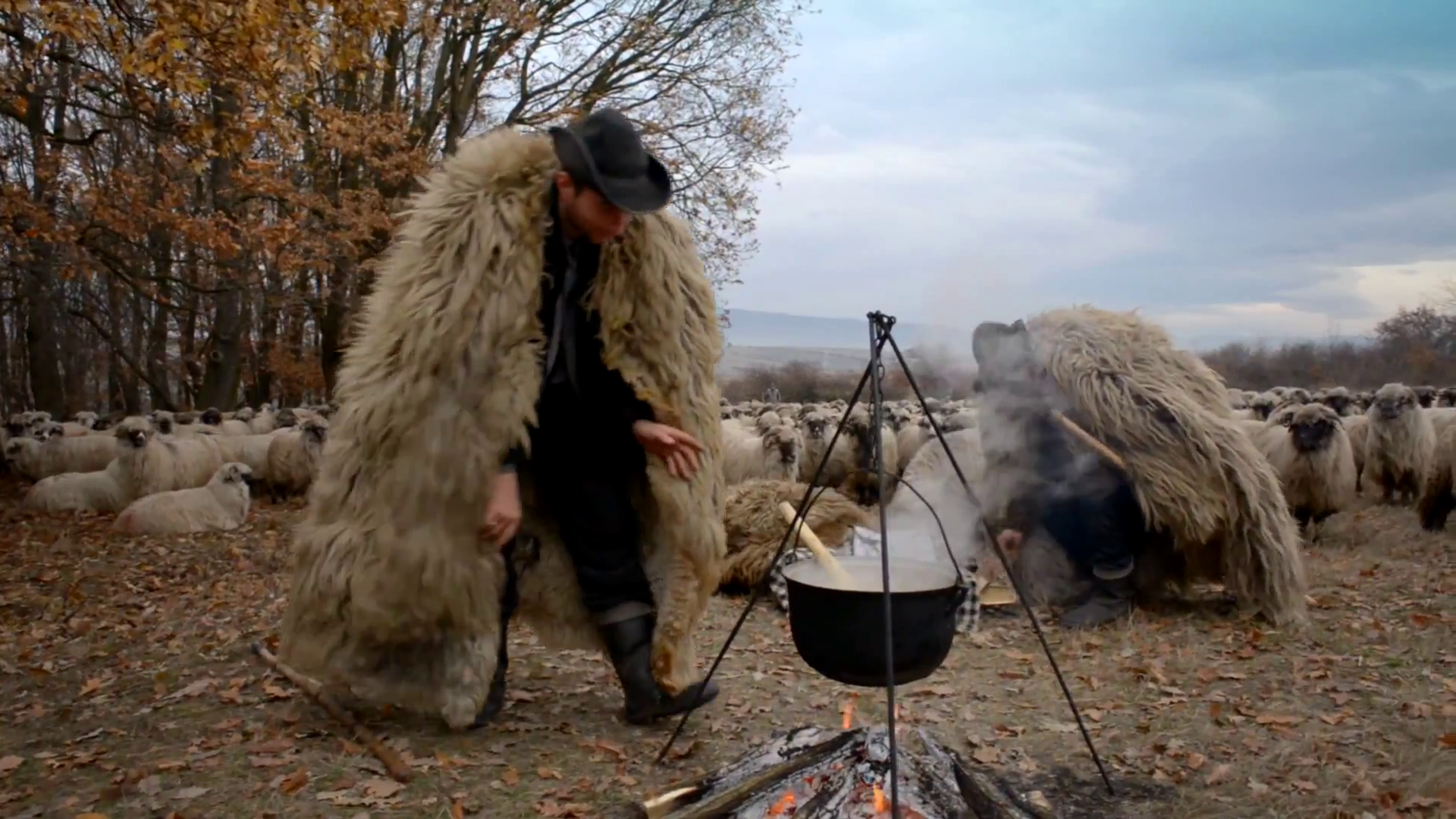 In videoclipurile ei, Vionelia are ca personaje ciobani si mioare