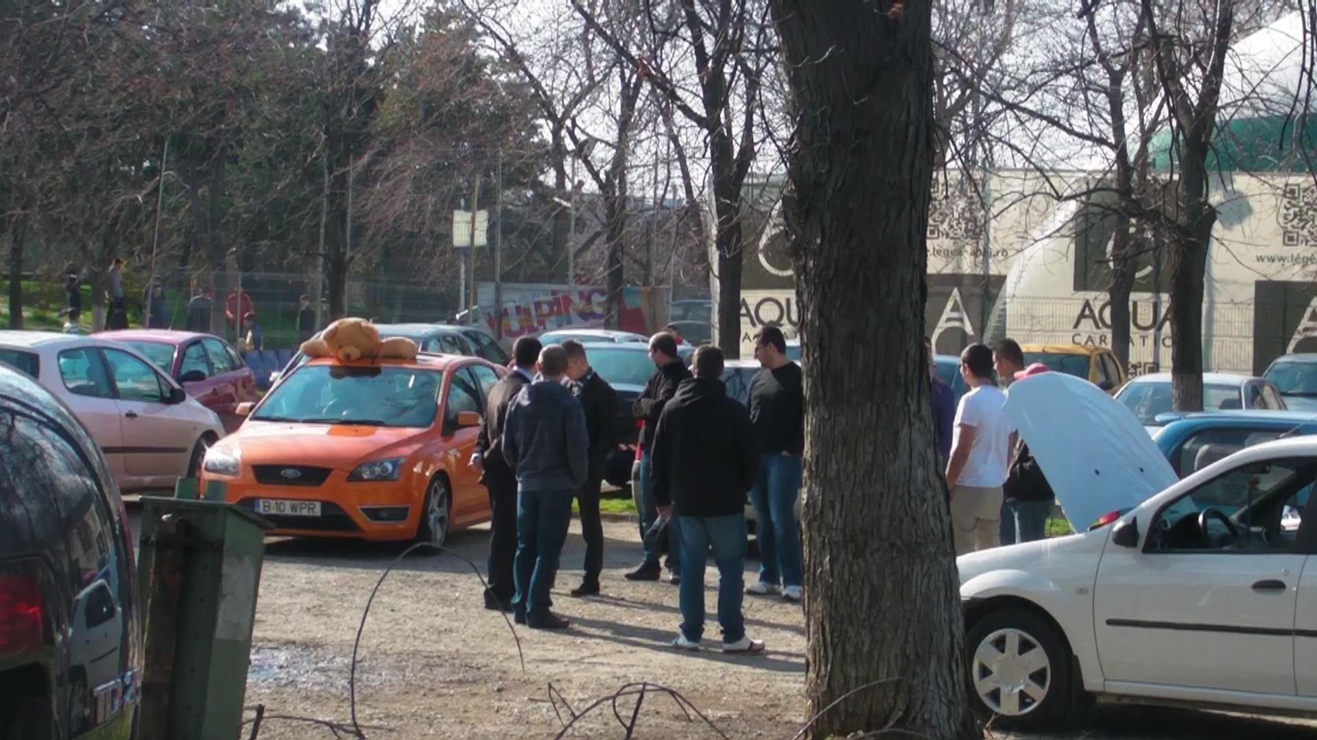 Un sofer si-a scos maimutoiul la plimbare