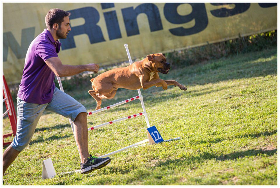 Pasiune. Tanarul afacerist alaturi de cainele sau in timpul unui concurs (sursa facebook)