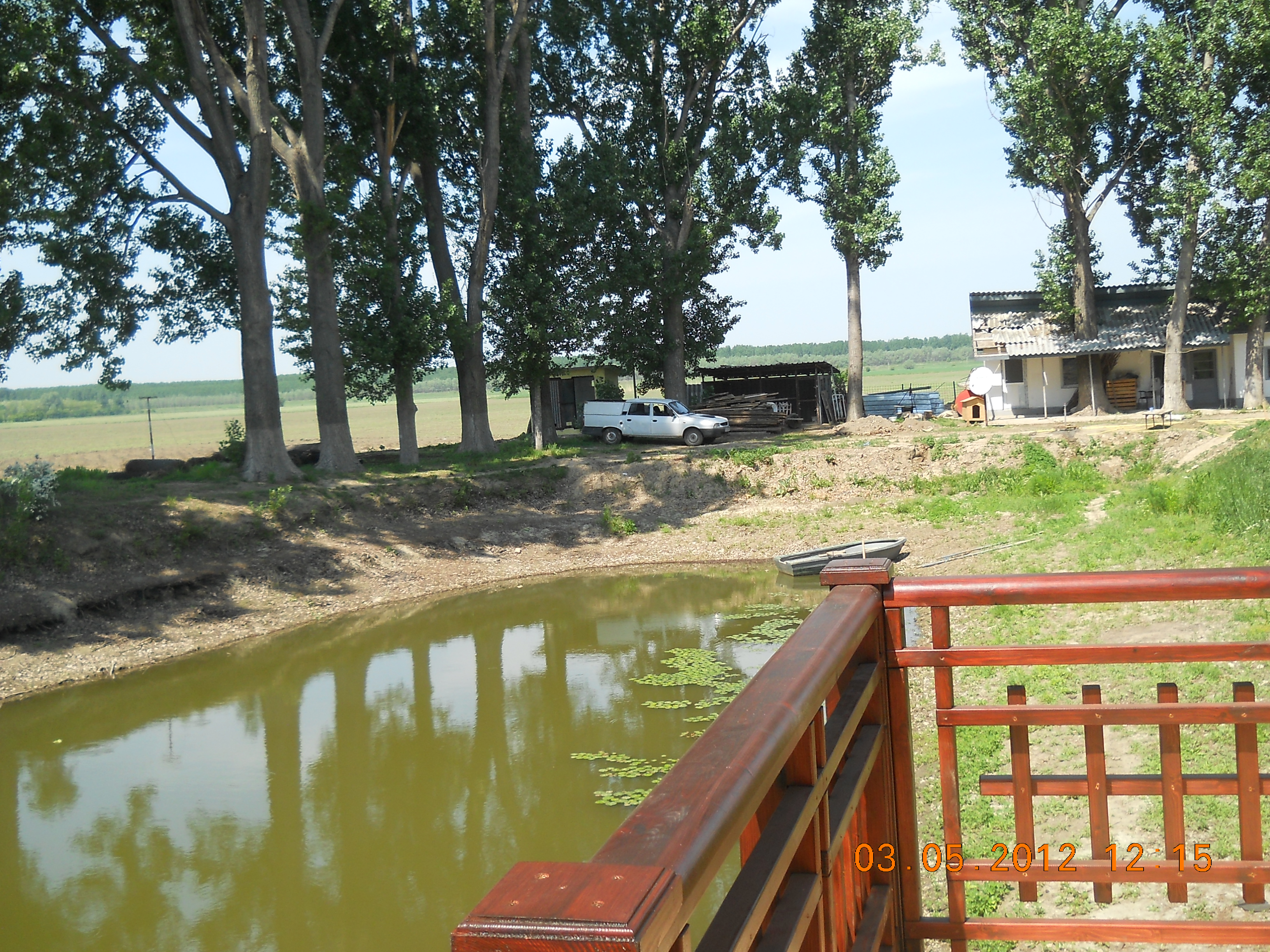 Ferma milionarului Poienaru