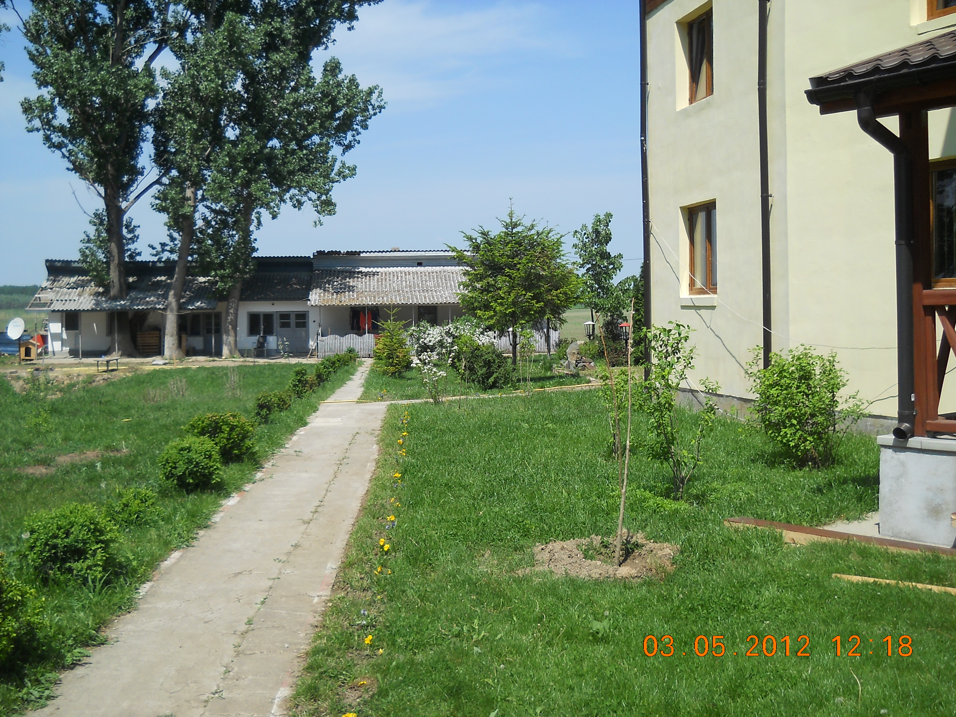 Ferma milionarului Poienaru, de langa Fetesti