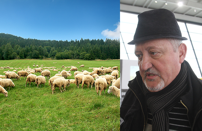 Avere. Tascu Caraman a adunat de-a lungul vietii sale o avere estimate la 12-15 milioane de euro