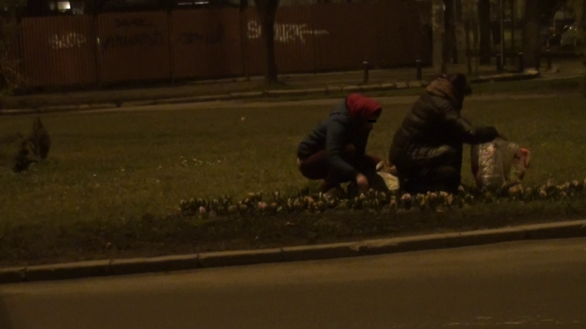 Cele doua femei smulg cu putere bulbii